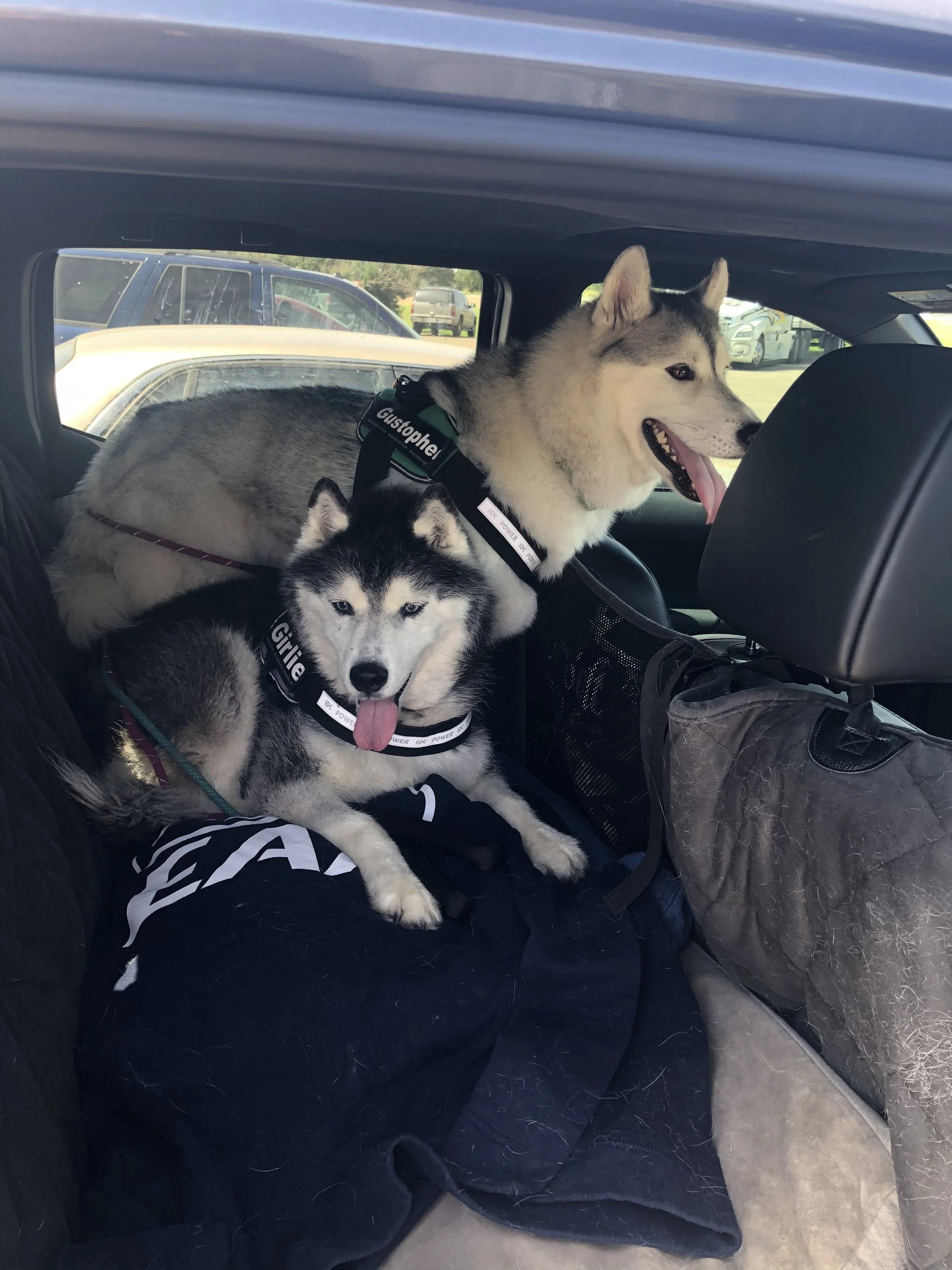 Vacation 2020 - Part 1