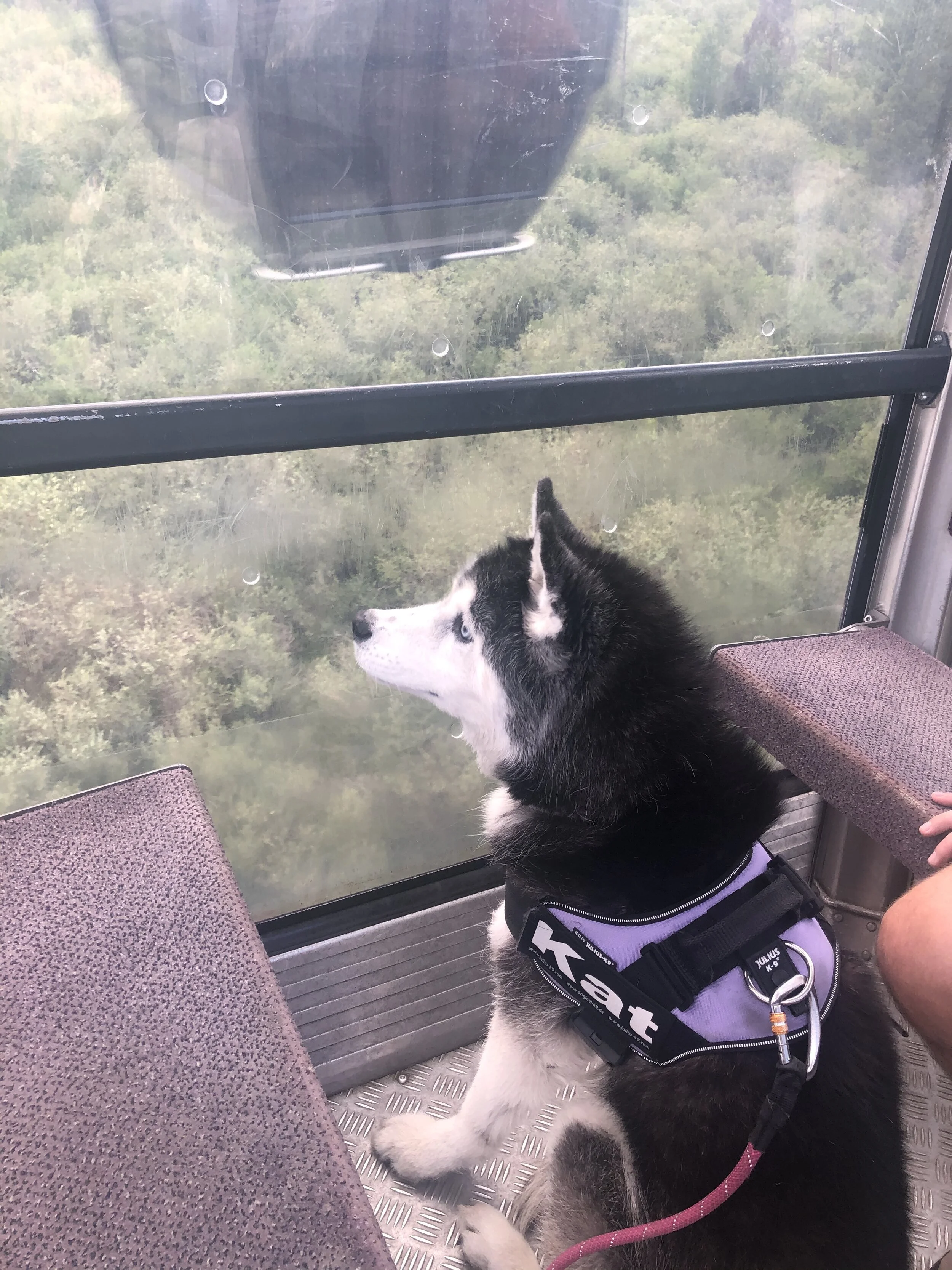 Vacation 2020 - Part 2