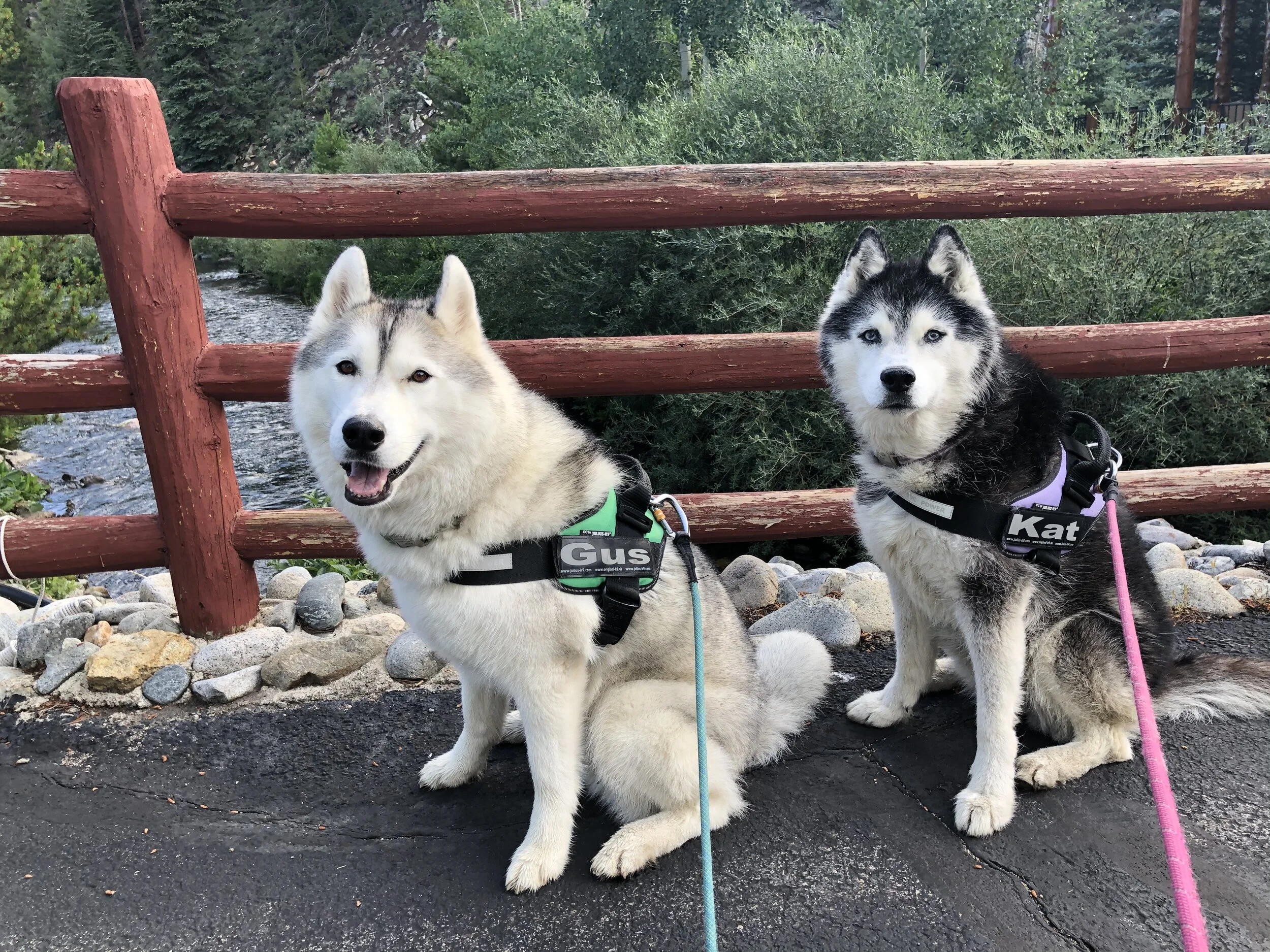 Vacation 2020 - Part 4