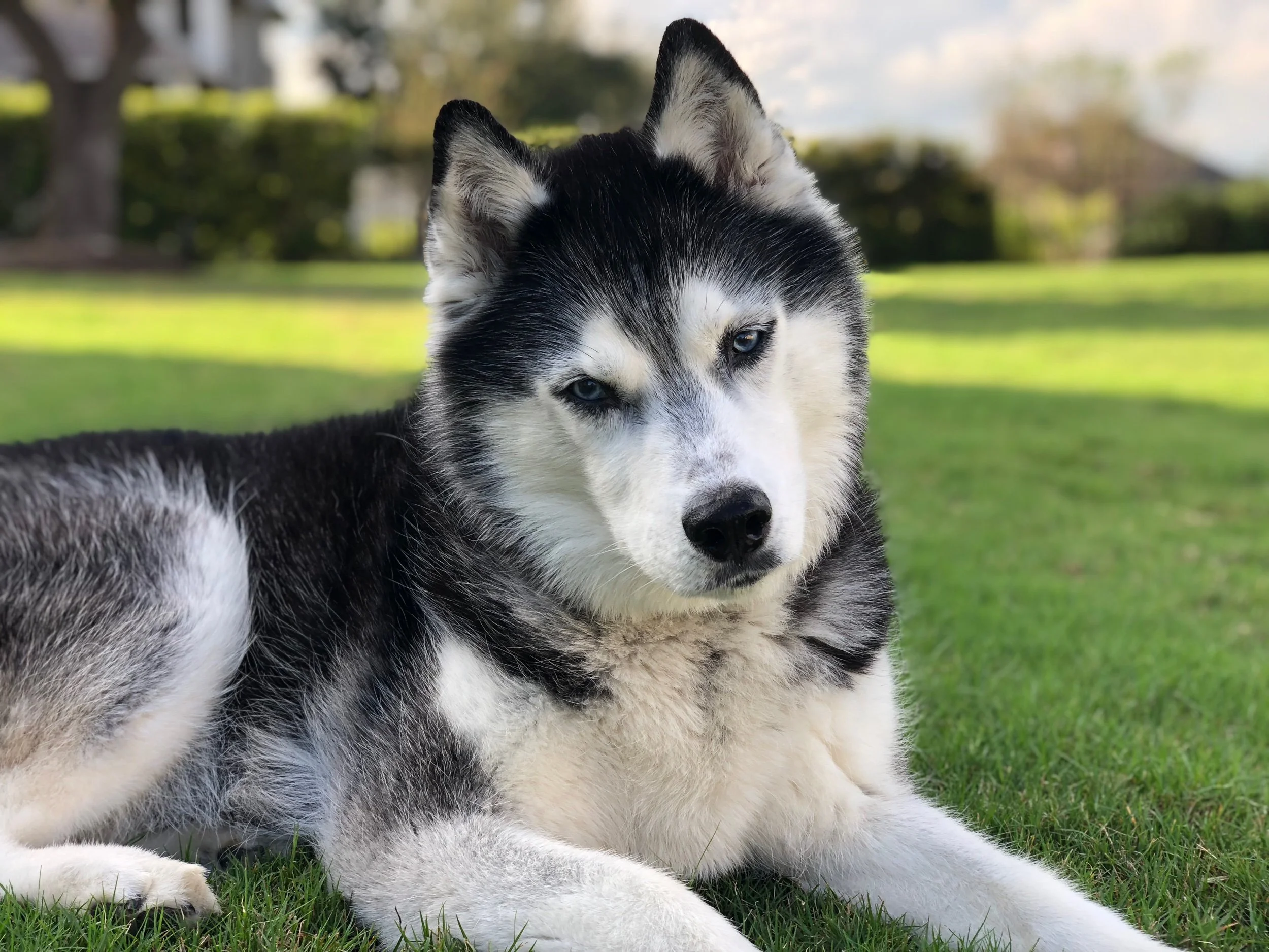 Katherine Olivia (October 14, 2006 - September 24, 2022)