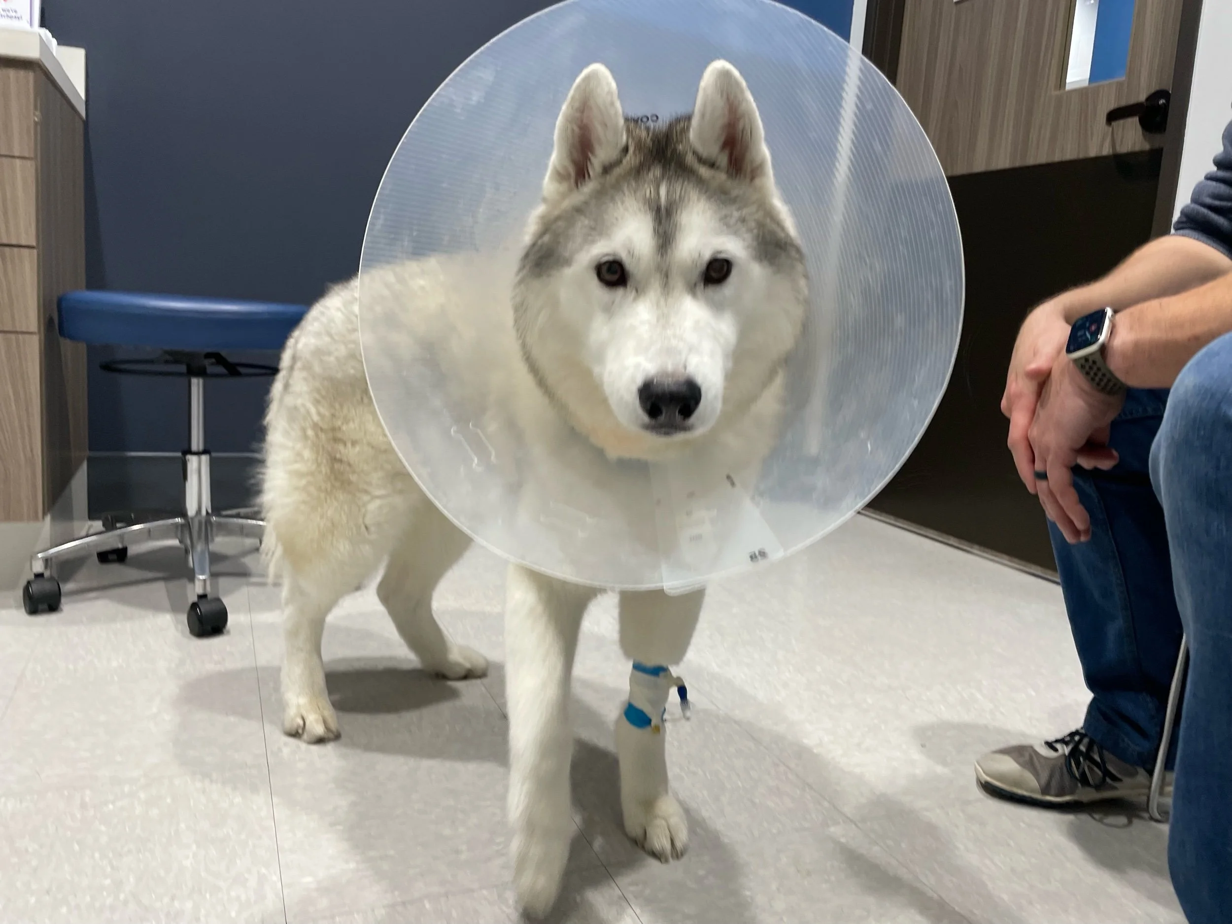 How Gus got on the Naughty List