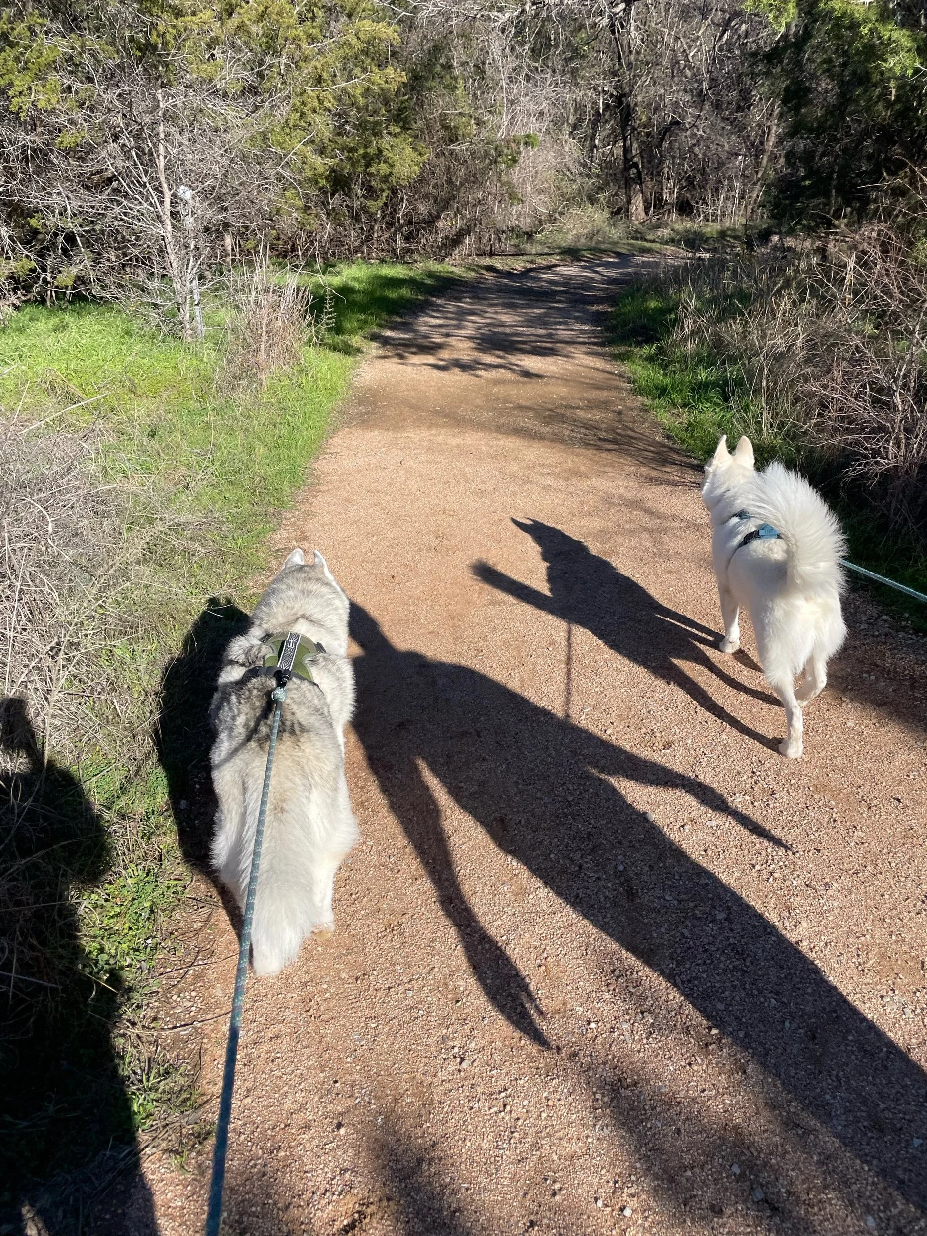 Camping at Black Rock Park