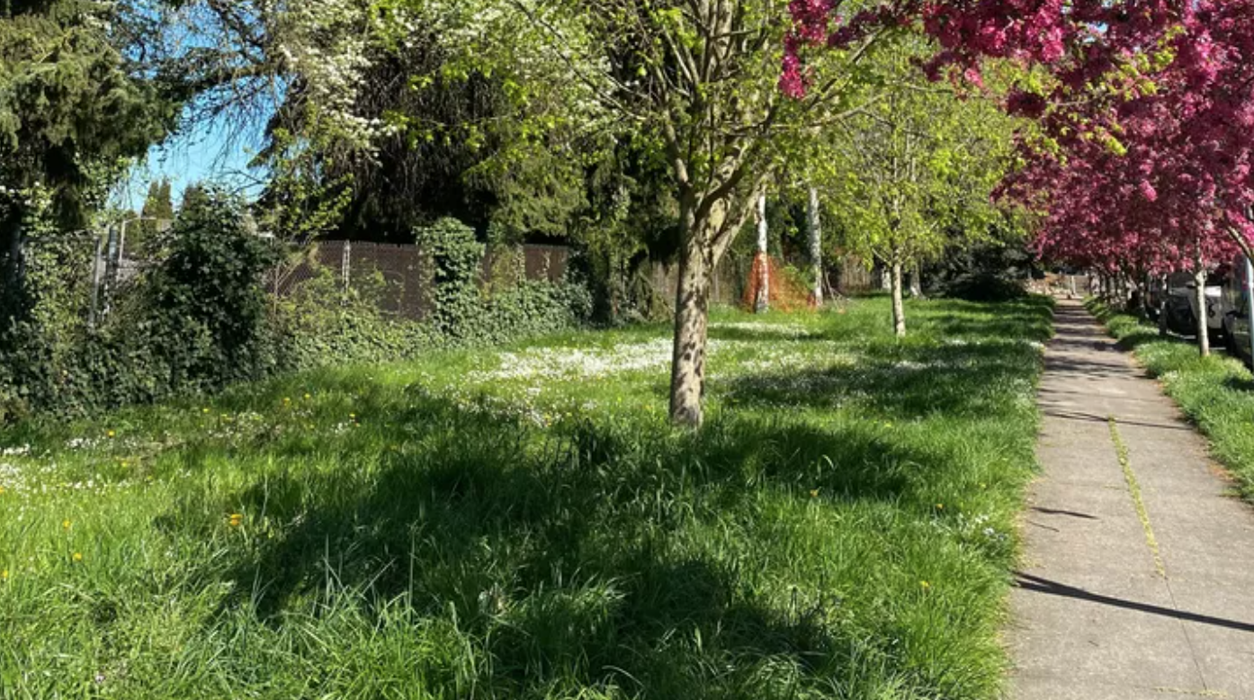 N Skidmore &amp; N Michigan - Natural Community Garden. 