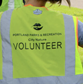 Apply Now to be a Neighborhood Tree Steward