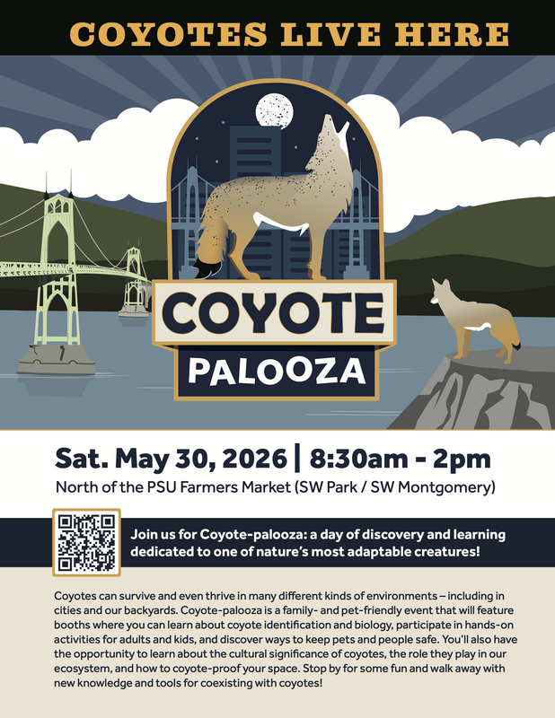 Coyote Palooza