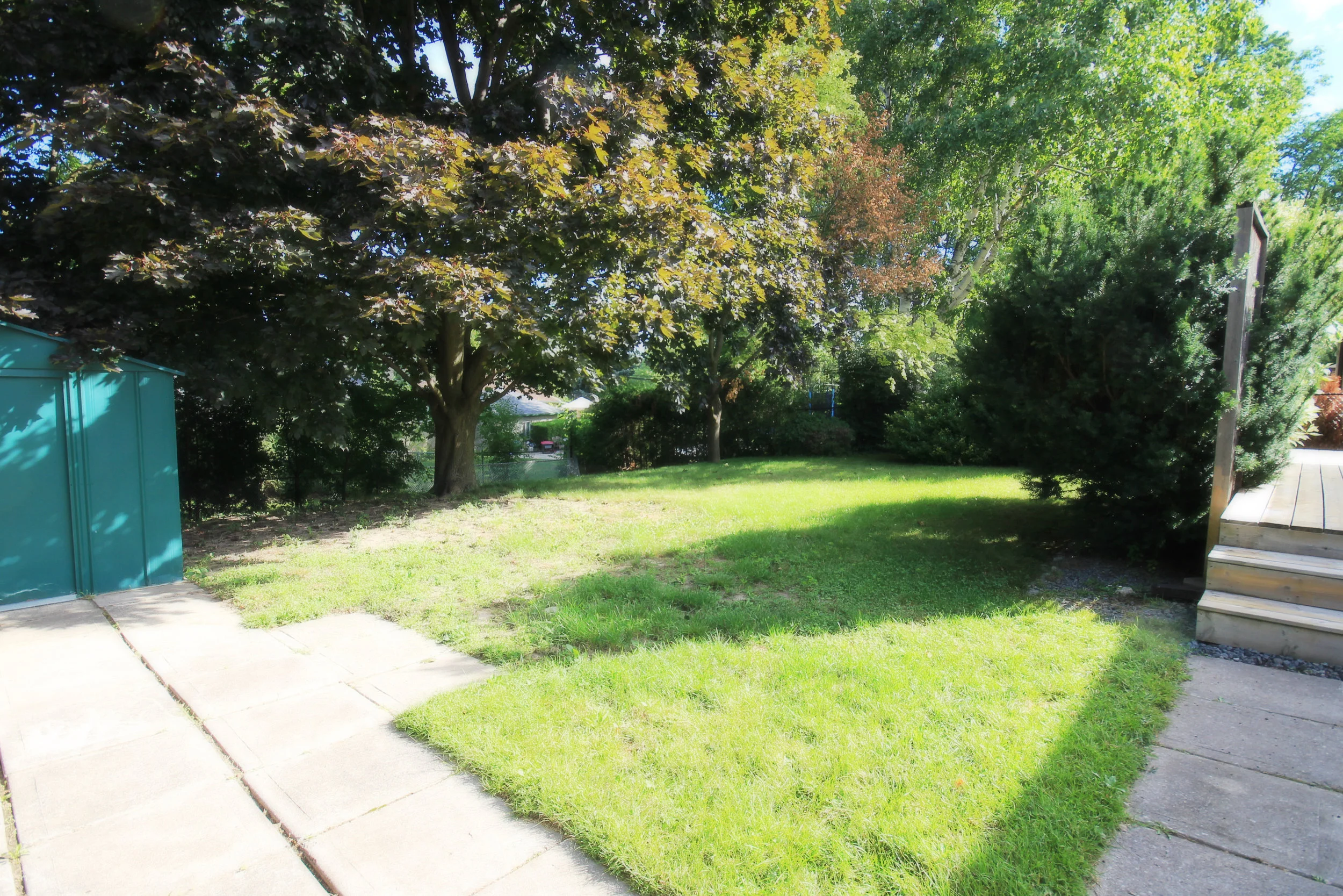 backyard 1.jpg