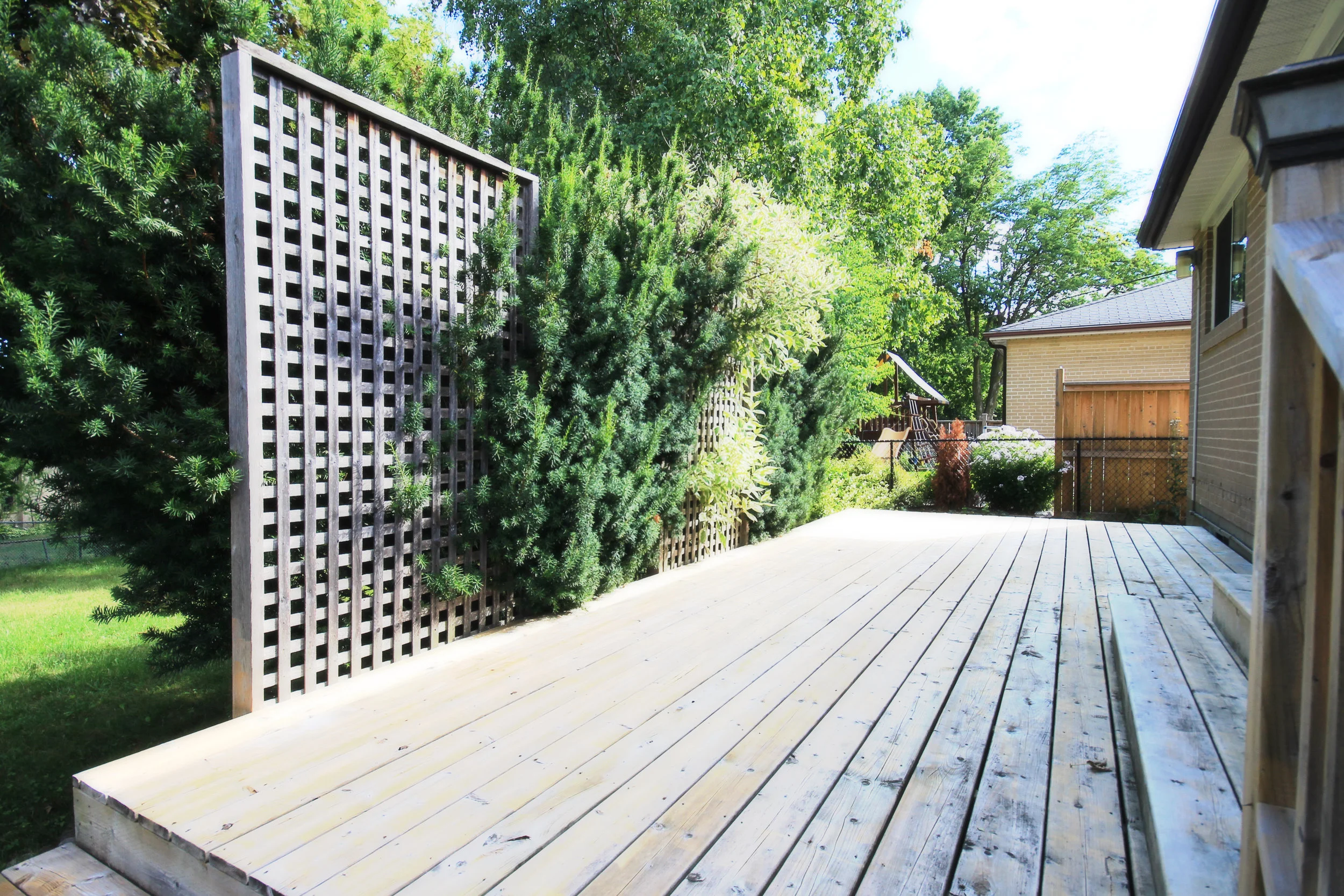 Backyard 2.jpg