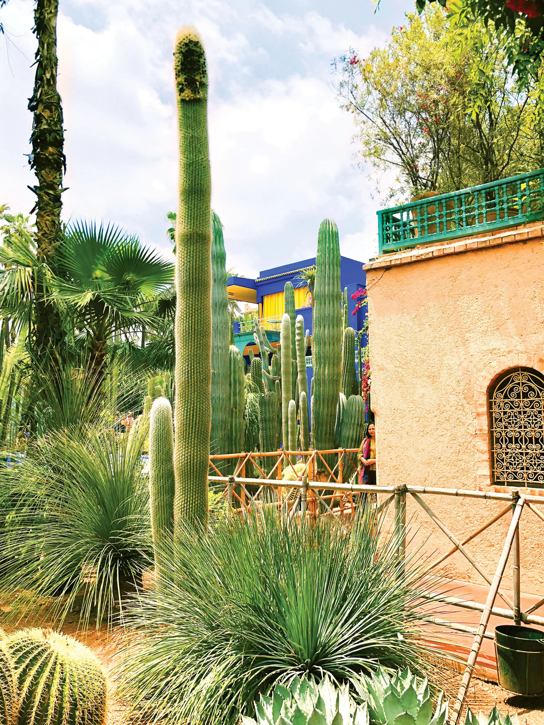 Something colourful around every corner at the Musee Yves Saint Laurent Marrakech