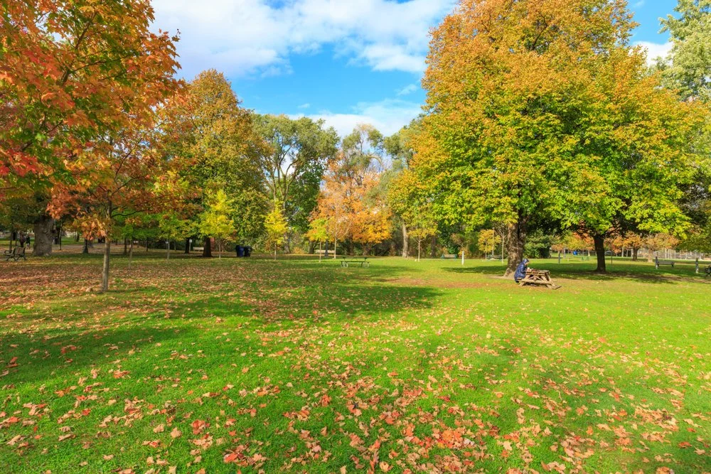 Trinity-Bellwoods-1.jpg