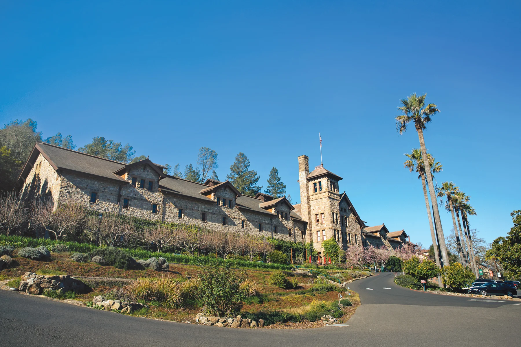 InsightWINTER18_NapaValley05.jpg