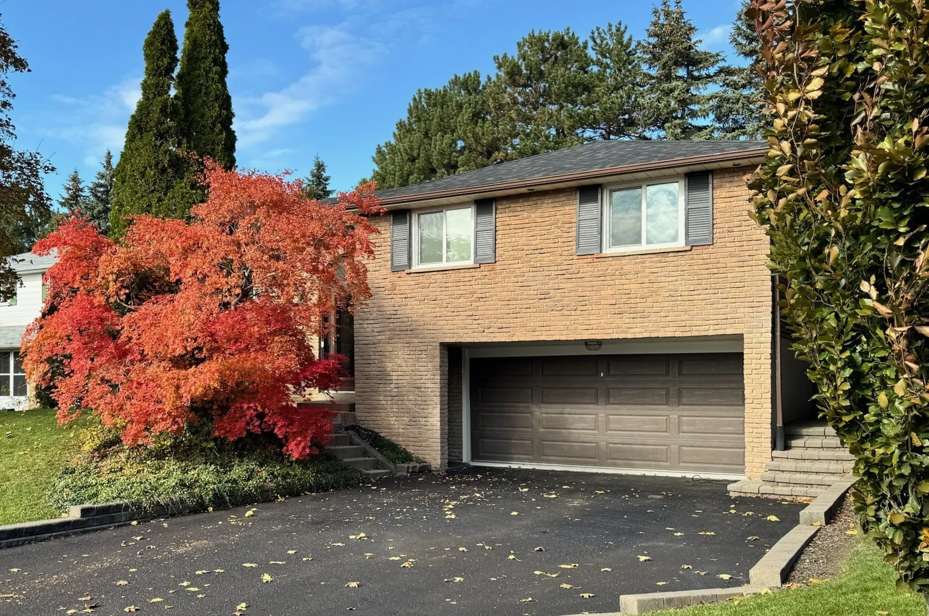 Inside Thornhill: A Neighbourhood That Feels Like Home