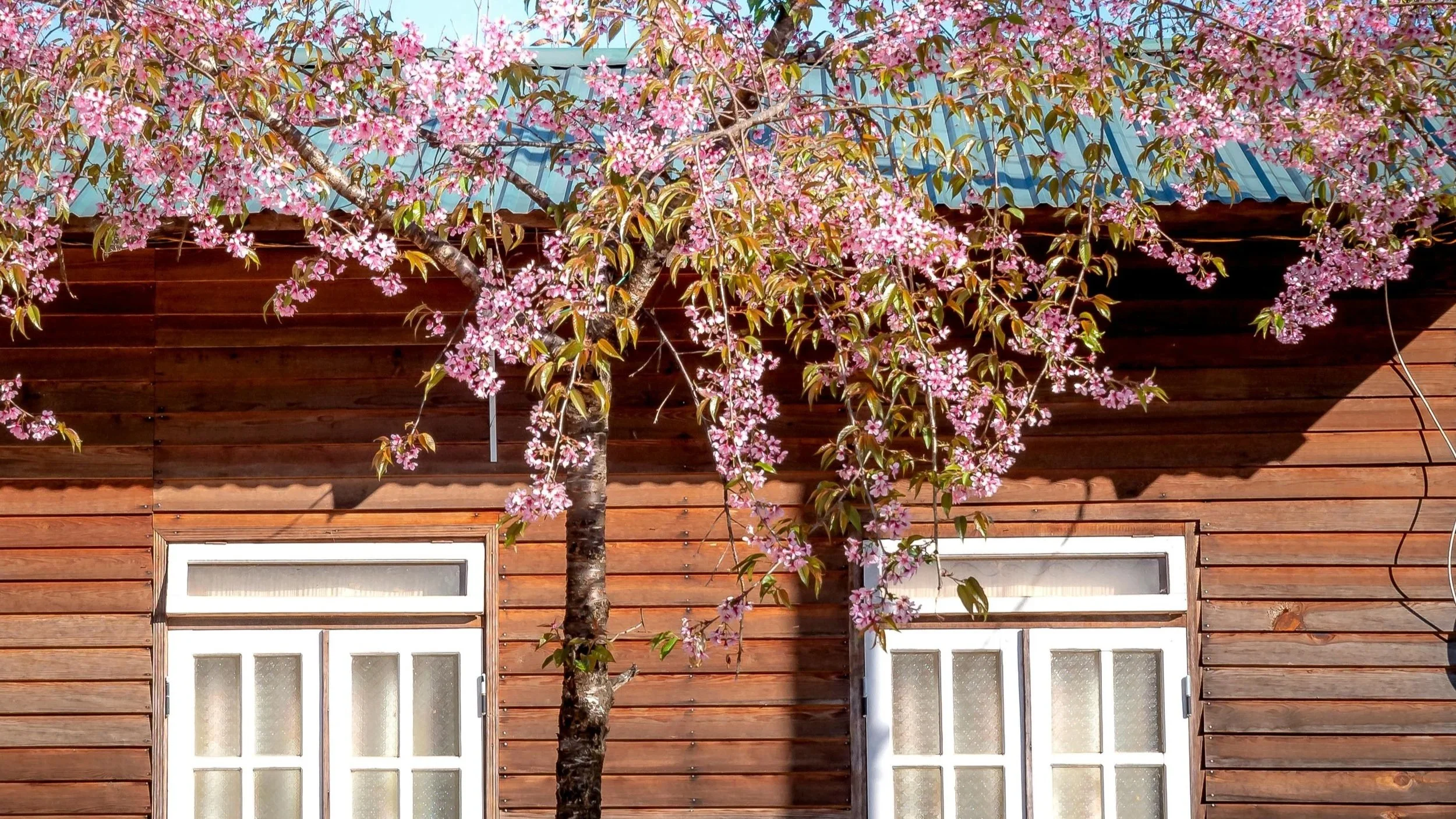 The Benefits of Selling in Spring