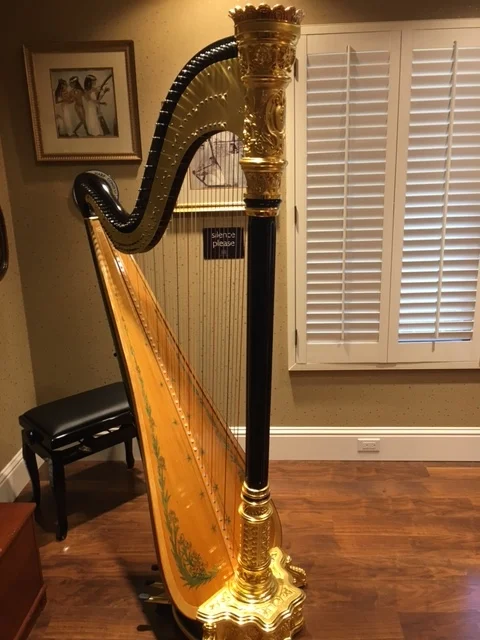  Maleficent...my new old black beauty 