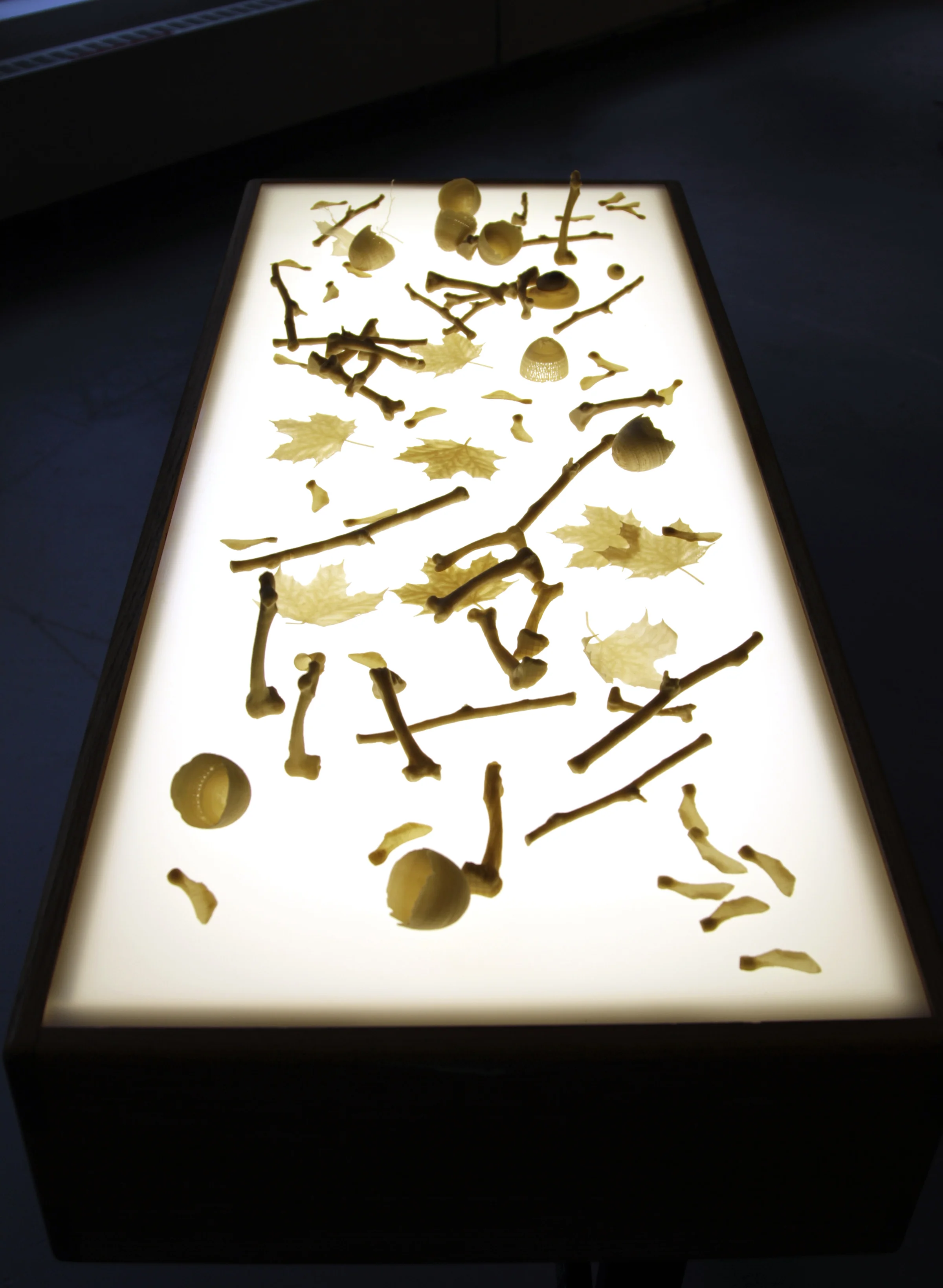 Decomposition 01.jpg