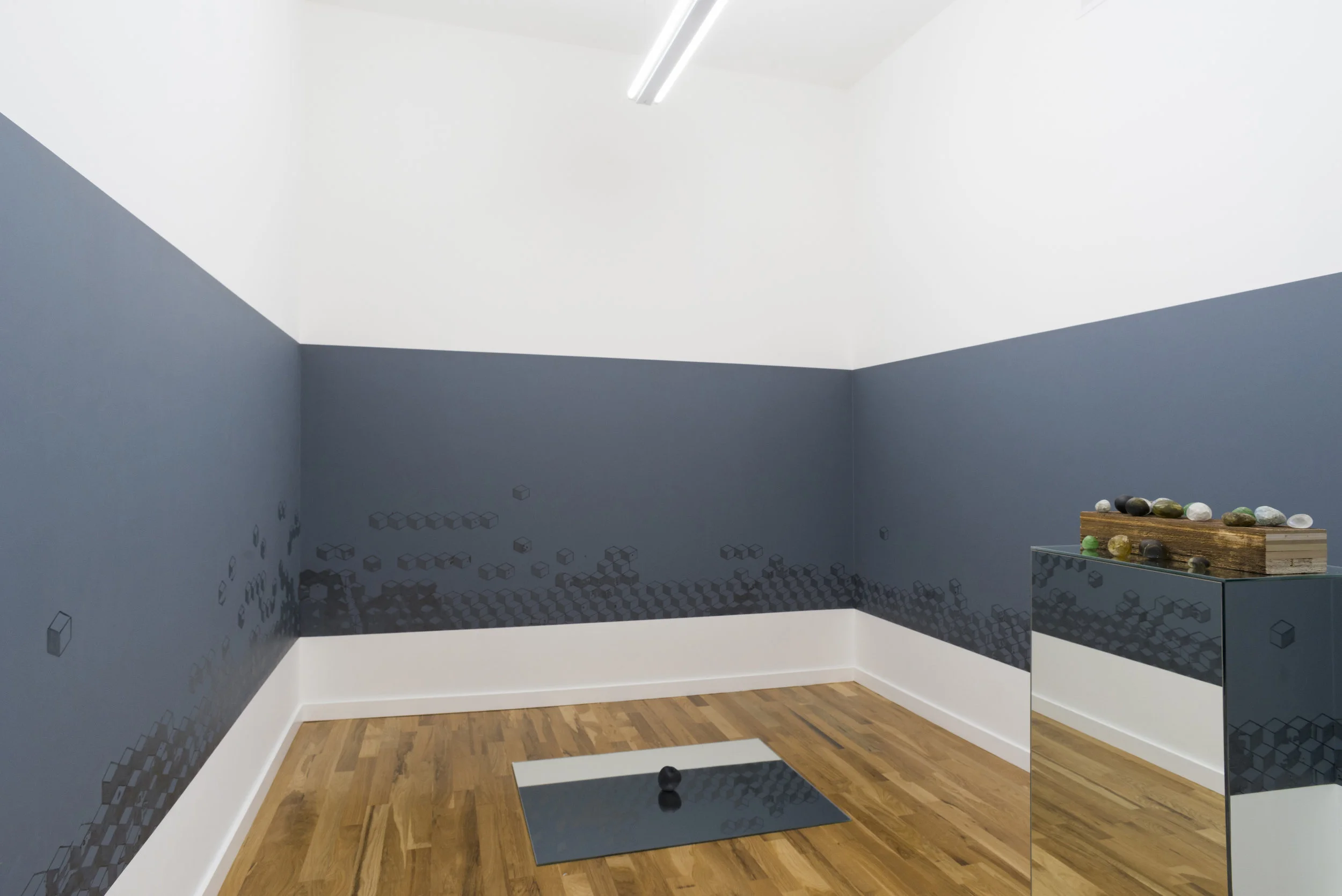 limitless future, limited reflection