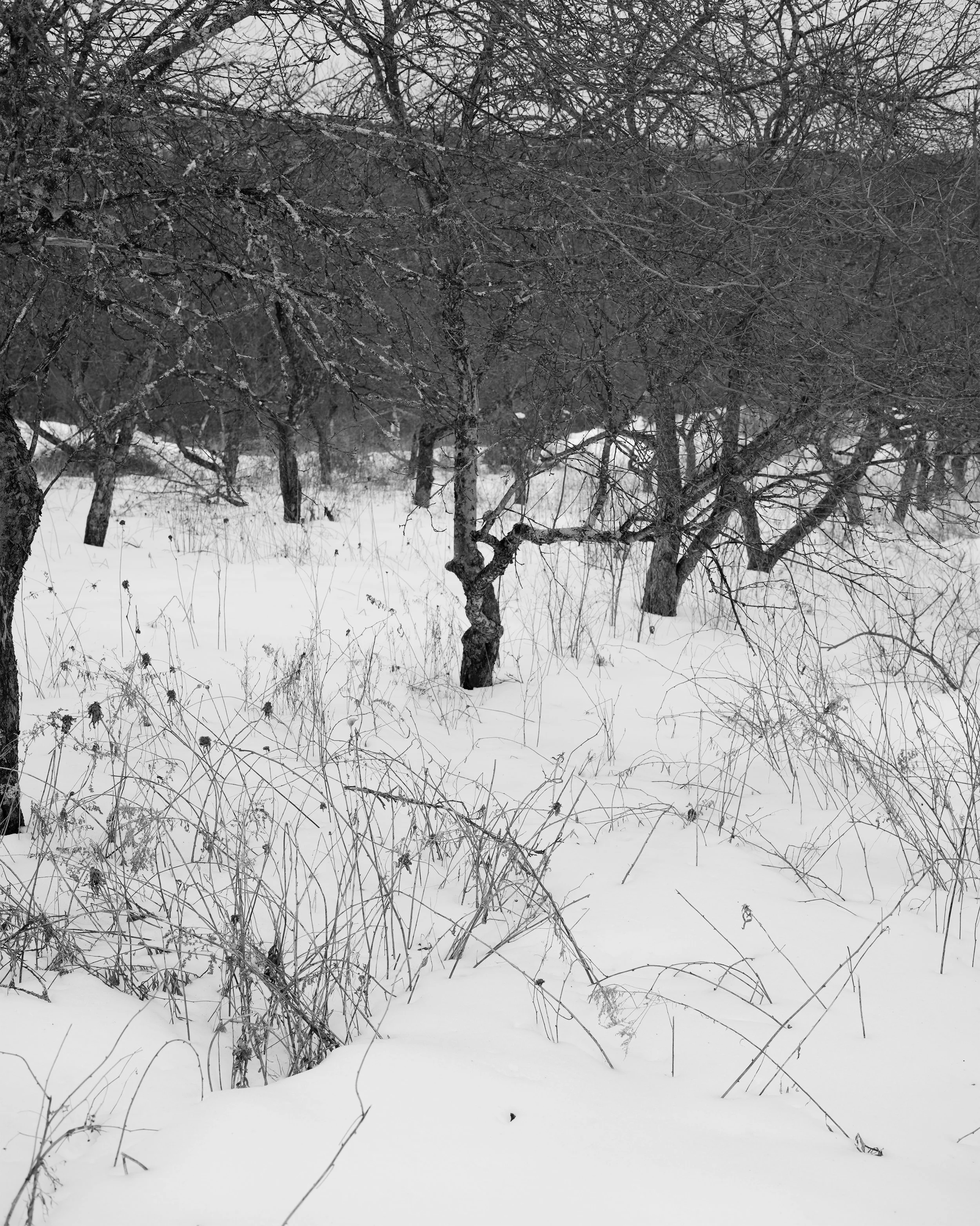 20210228_155-1.jpg