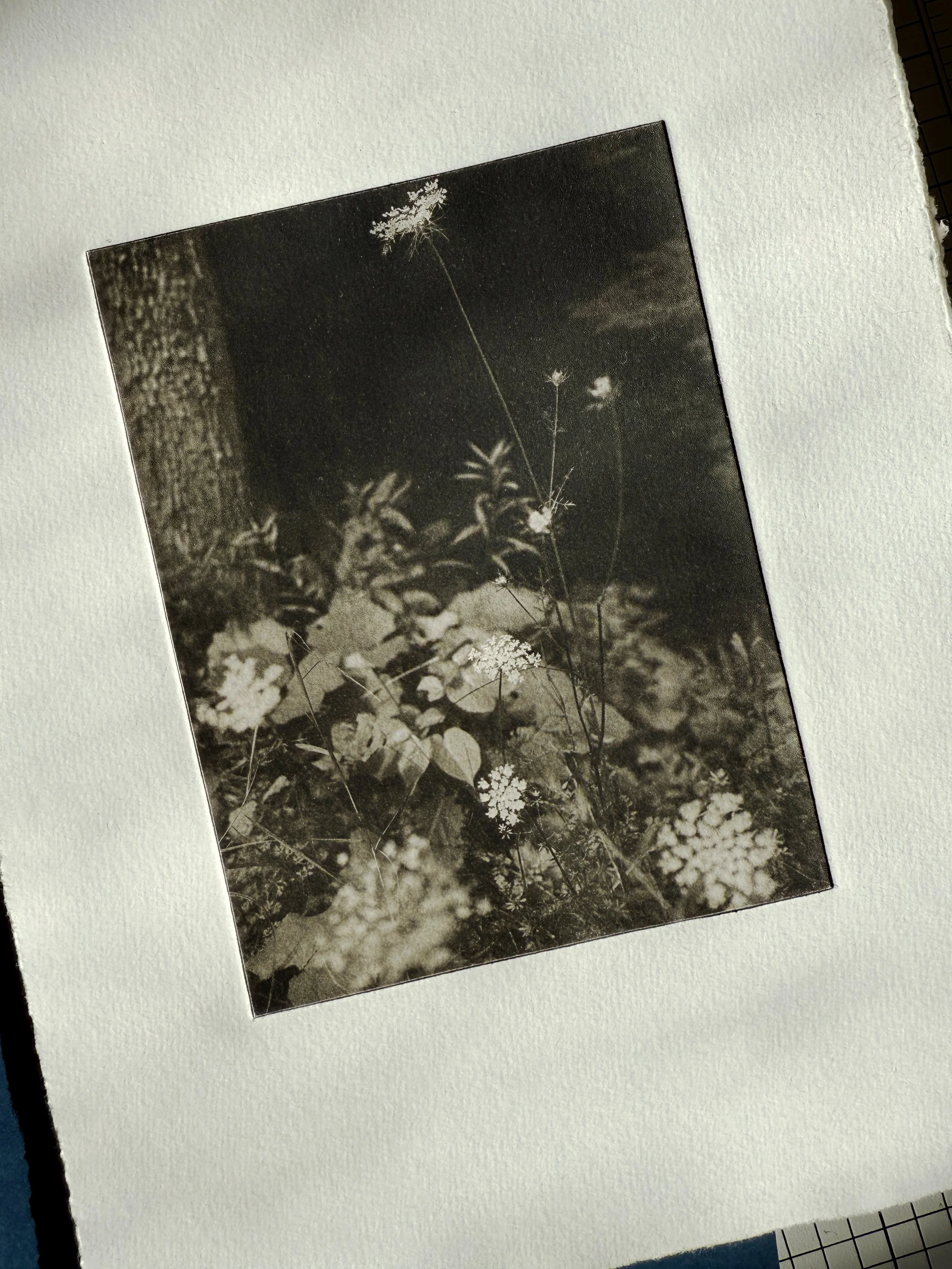 7-31_print_002.jpg