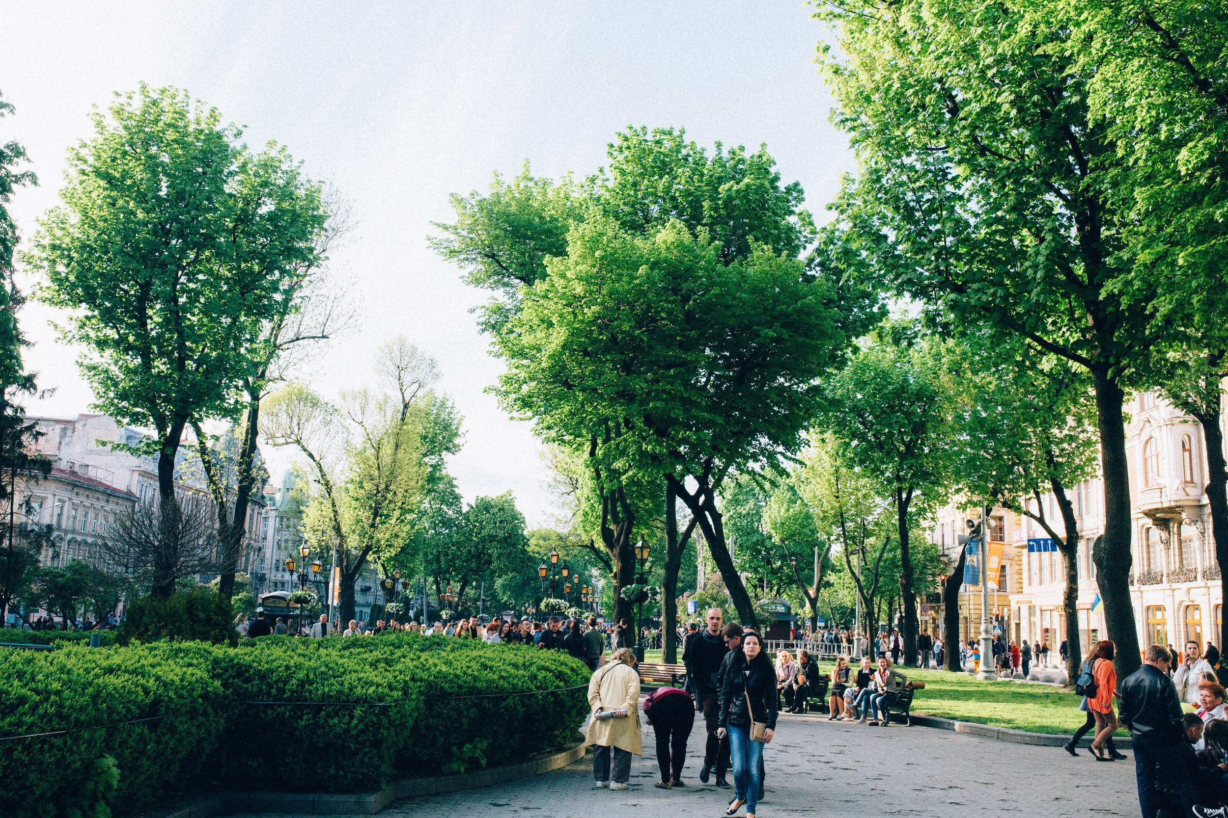 Spring time, Lviv, Ukraine
