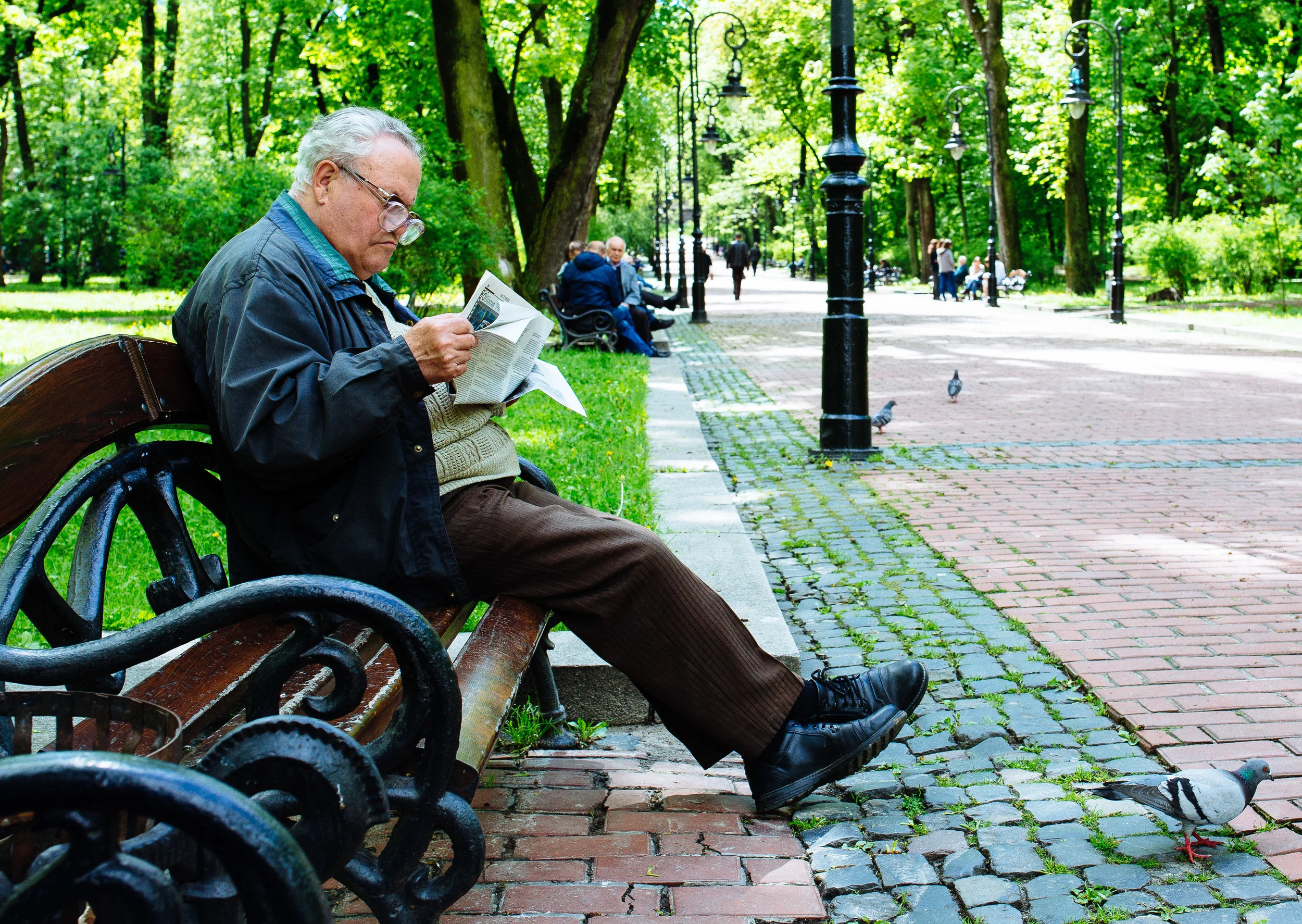 Reading in the park.