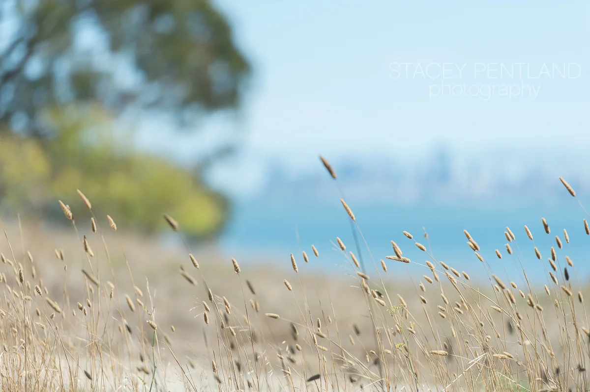 emily+philip_wedding_spp_036.jpg