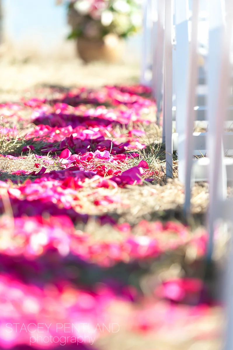 emily+philip_wedding_spp_063.jpg