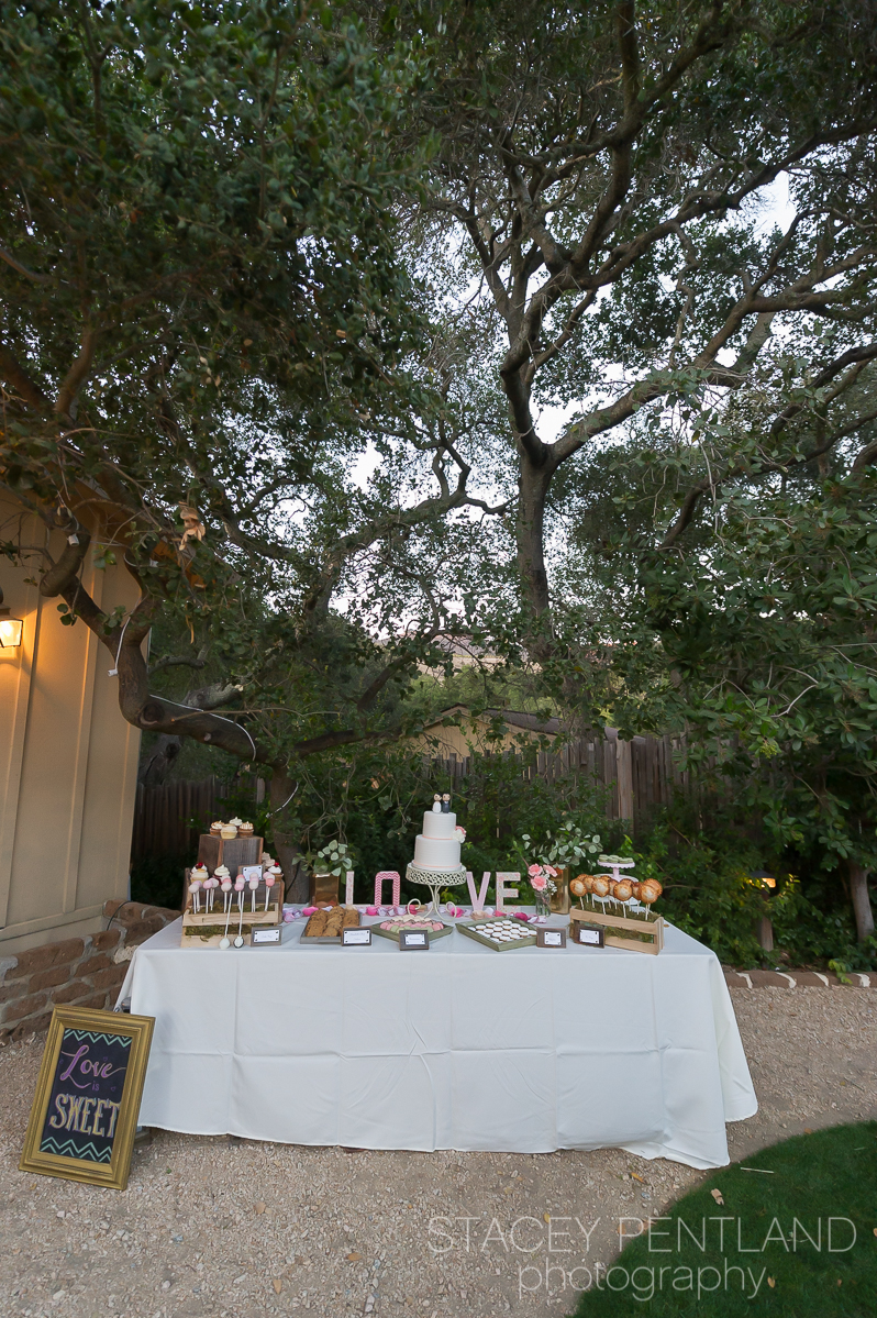 sariah+joel_wedding_spp_105.jpg