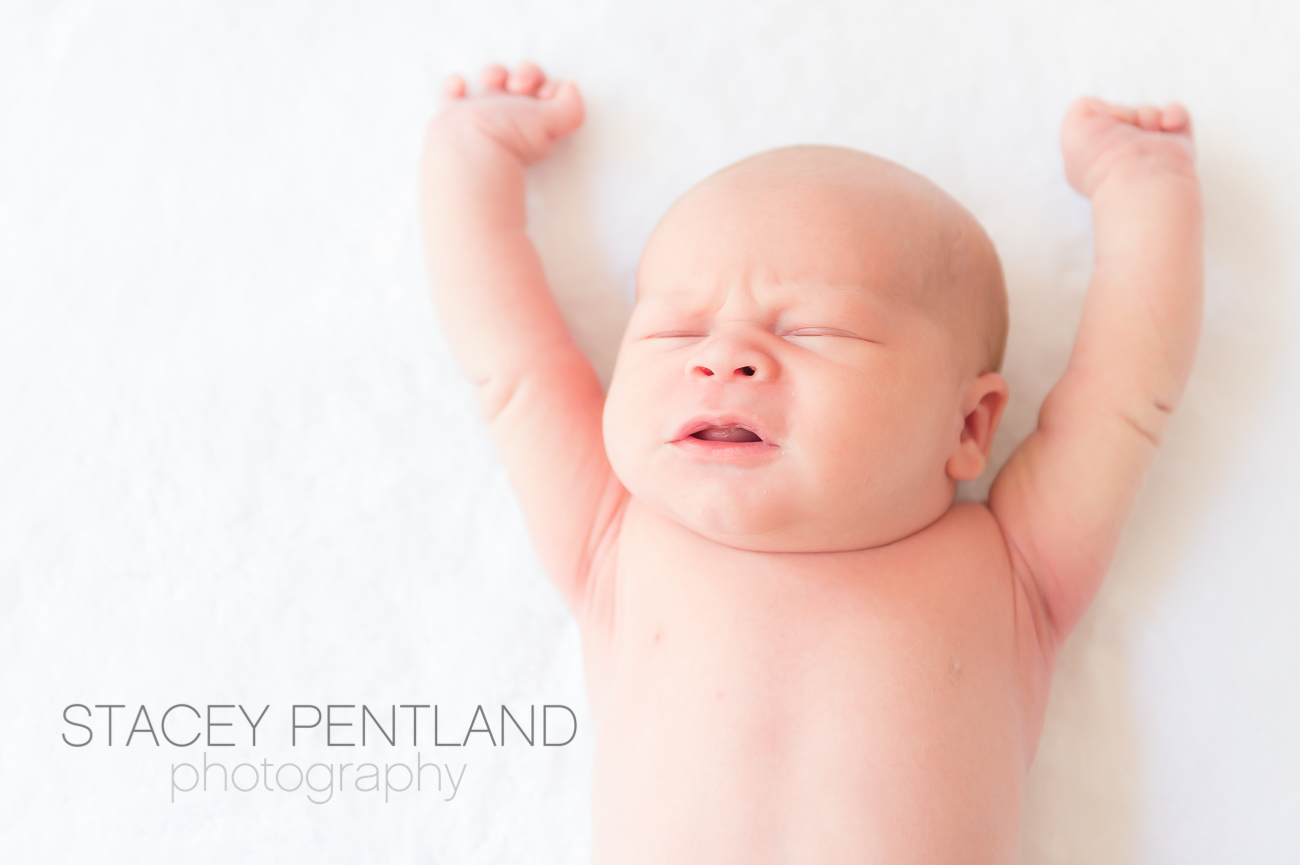 Stretch…..time for my photo shoot. :)