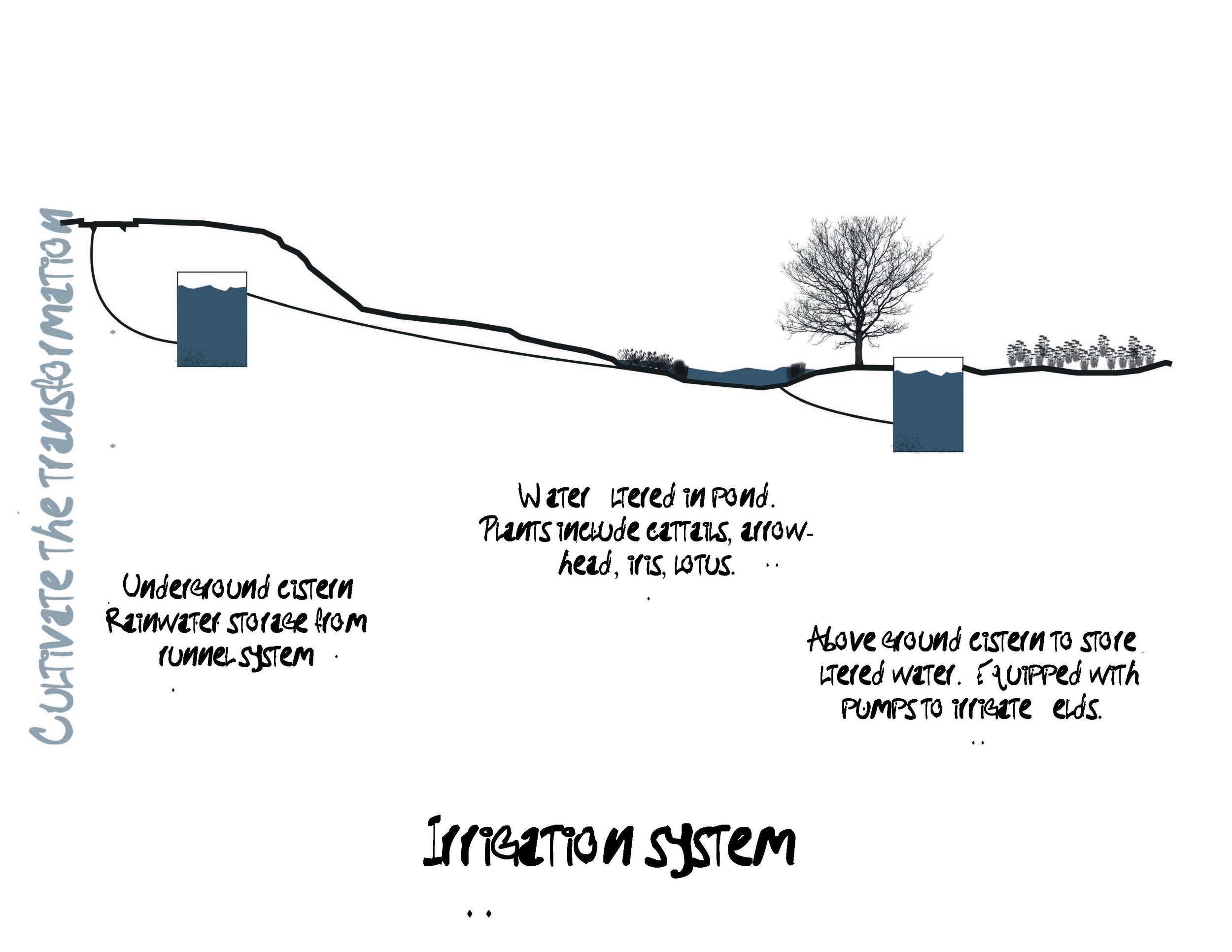 irrigation system.jpg