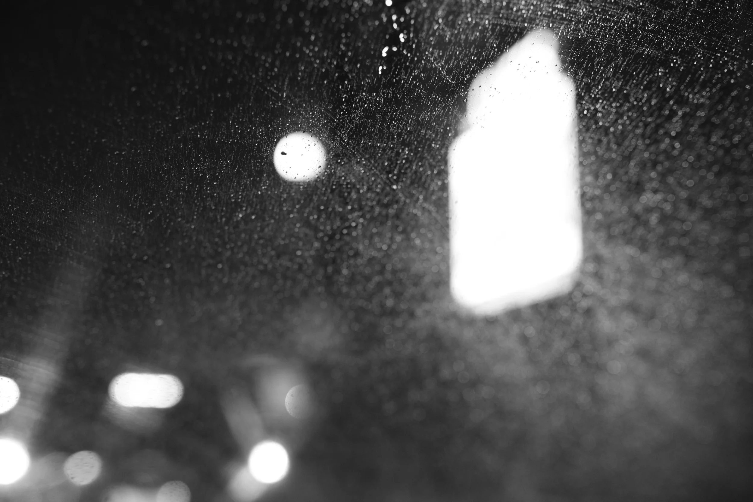 _MG_0015.JPG