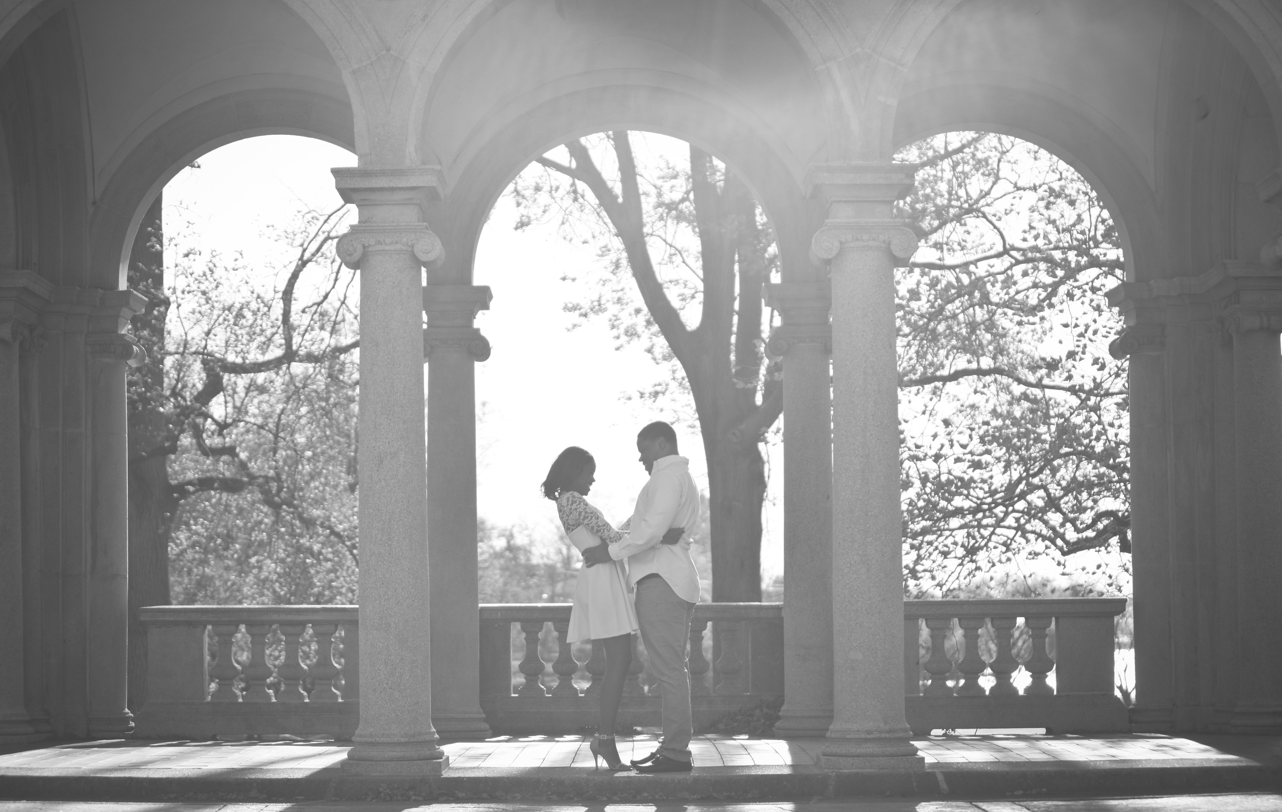 Here is one of the finalized images. 