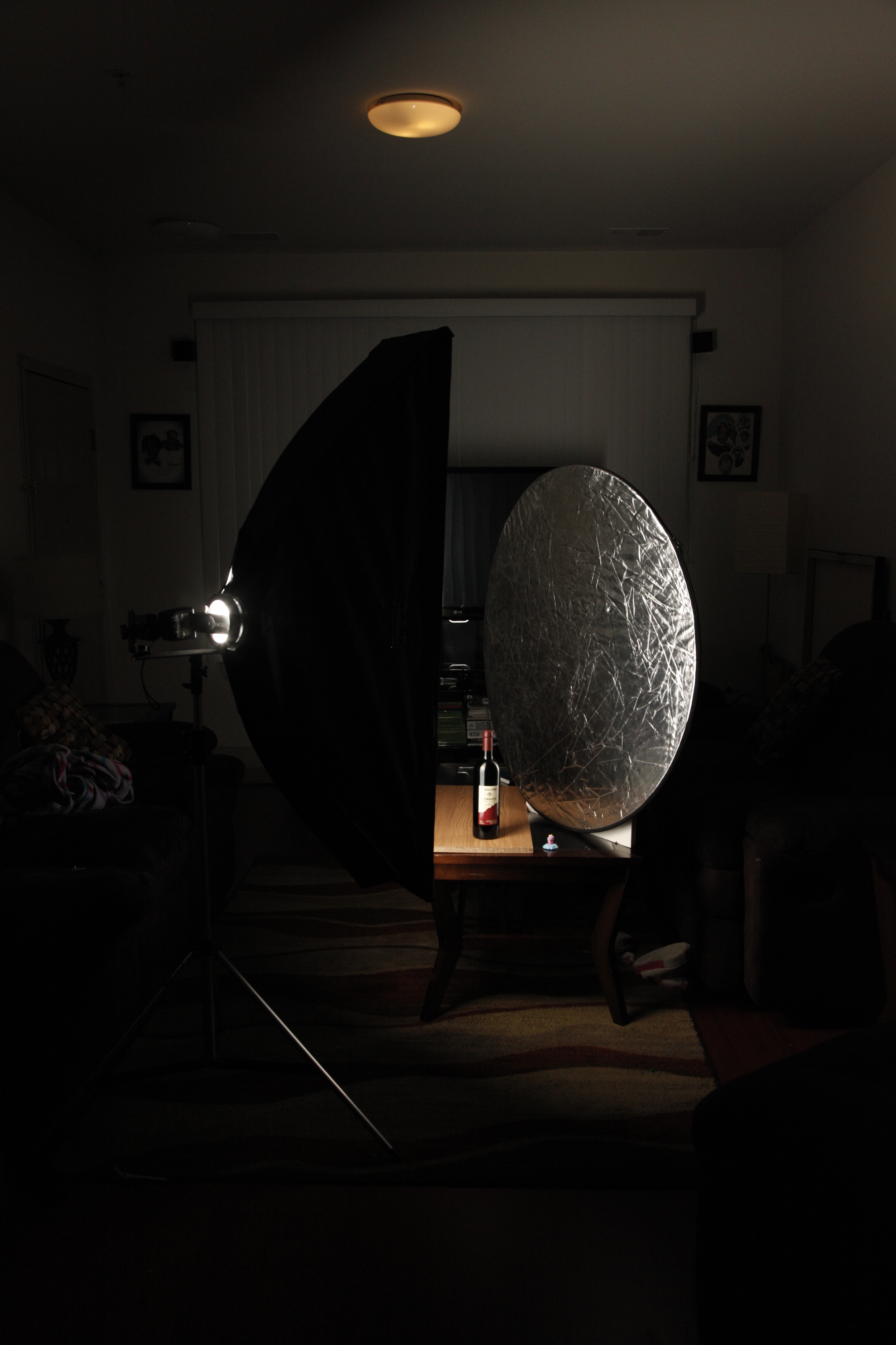 12x56" Stripbox