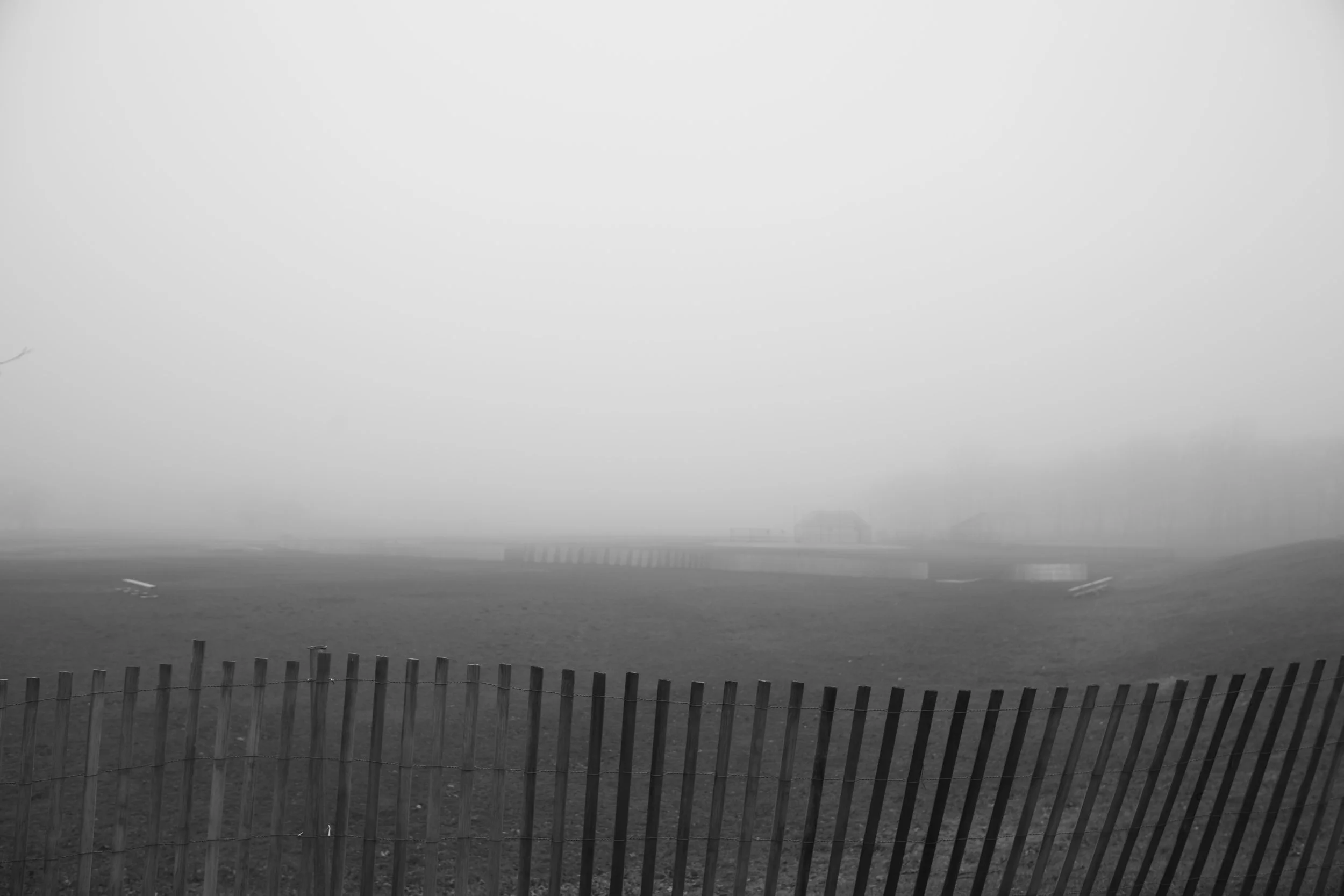 _MG_9951.JPG