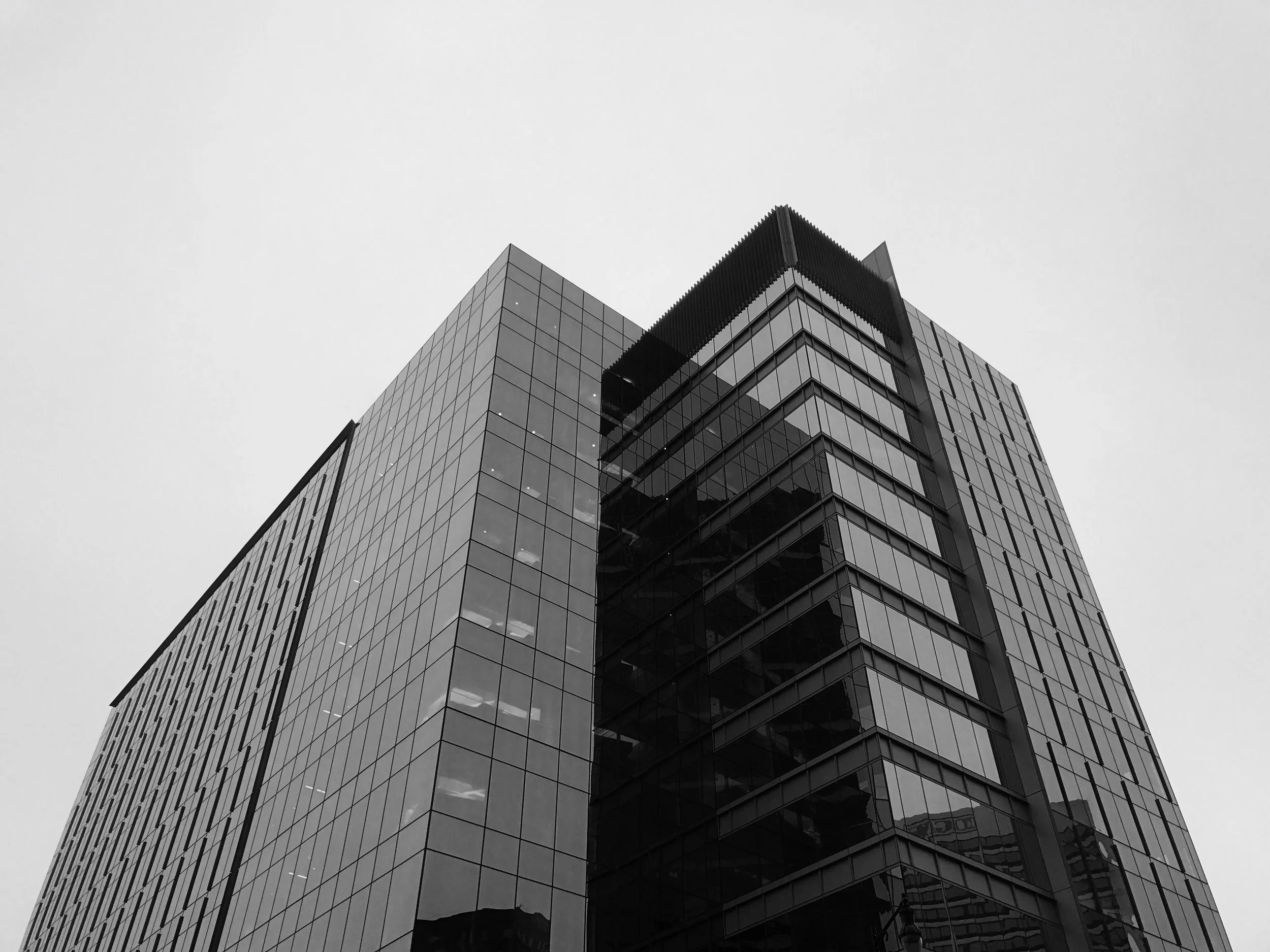 IMG_E9165.jpg