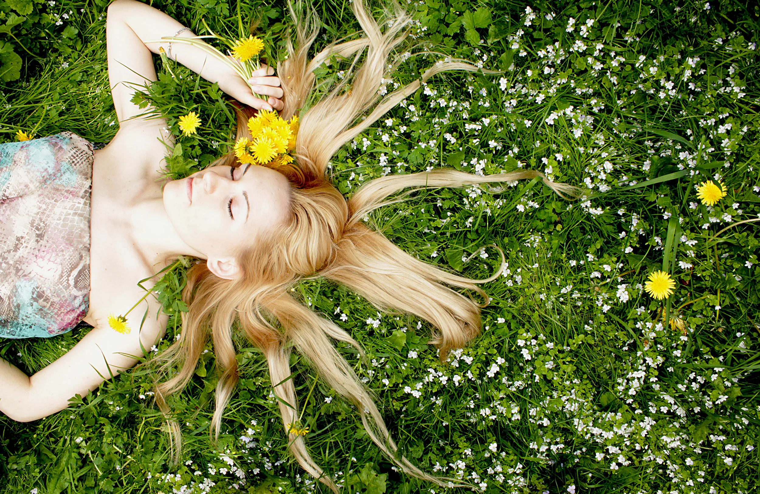 stockvault-flowers127599.jpg