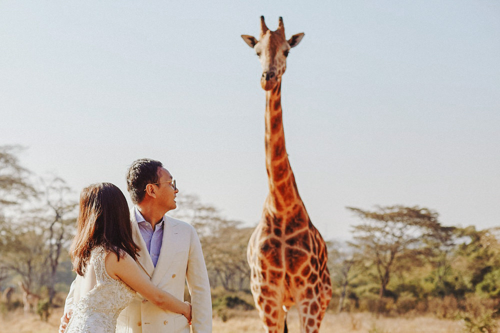 Giraffe Manor Photography Best Safari Wedding Photo Session Award Winning Fashion Female Destination Kenyan Top Kenya Wedding Photographer  长颈鹿庄园野生动物园婚礼  結婚式の写真ジラフ荘園 ナイロビケニア  結婚式写真,結婚写真,前撮り,フォトウェディング,ロケーション撮影,ウェディングフォト,ウェディング,結婚式,挙式,写真,撮影,スタジオ,フォトスタジオ,ウェディングドレス,ラヴ