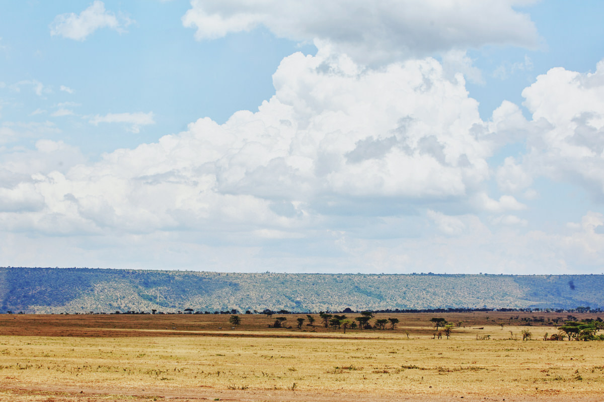 Masai Mara Safari Neptune Pre Wedding Styled Session Kenyan destination photographer