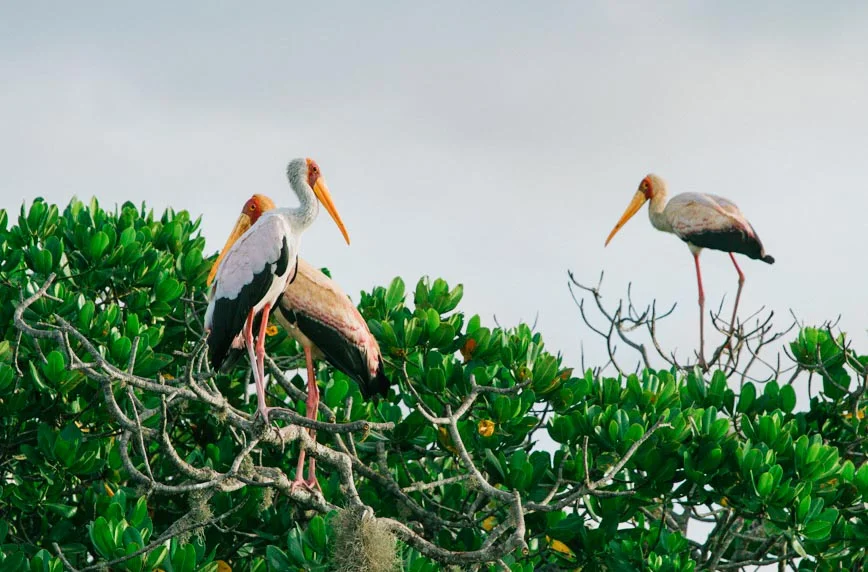 Temple Point Resort Watamu Photography
