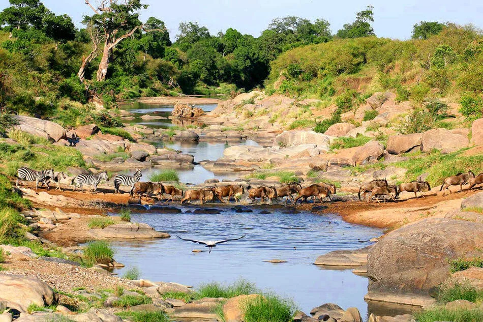 Top 10 Luxury Destination Wedding Places In Kenya