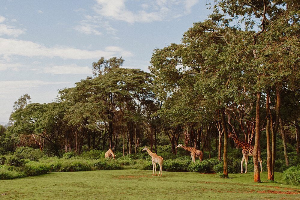 Giraffe Manor - Adventure Weekend in Nairobi