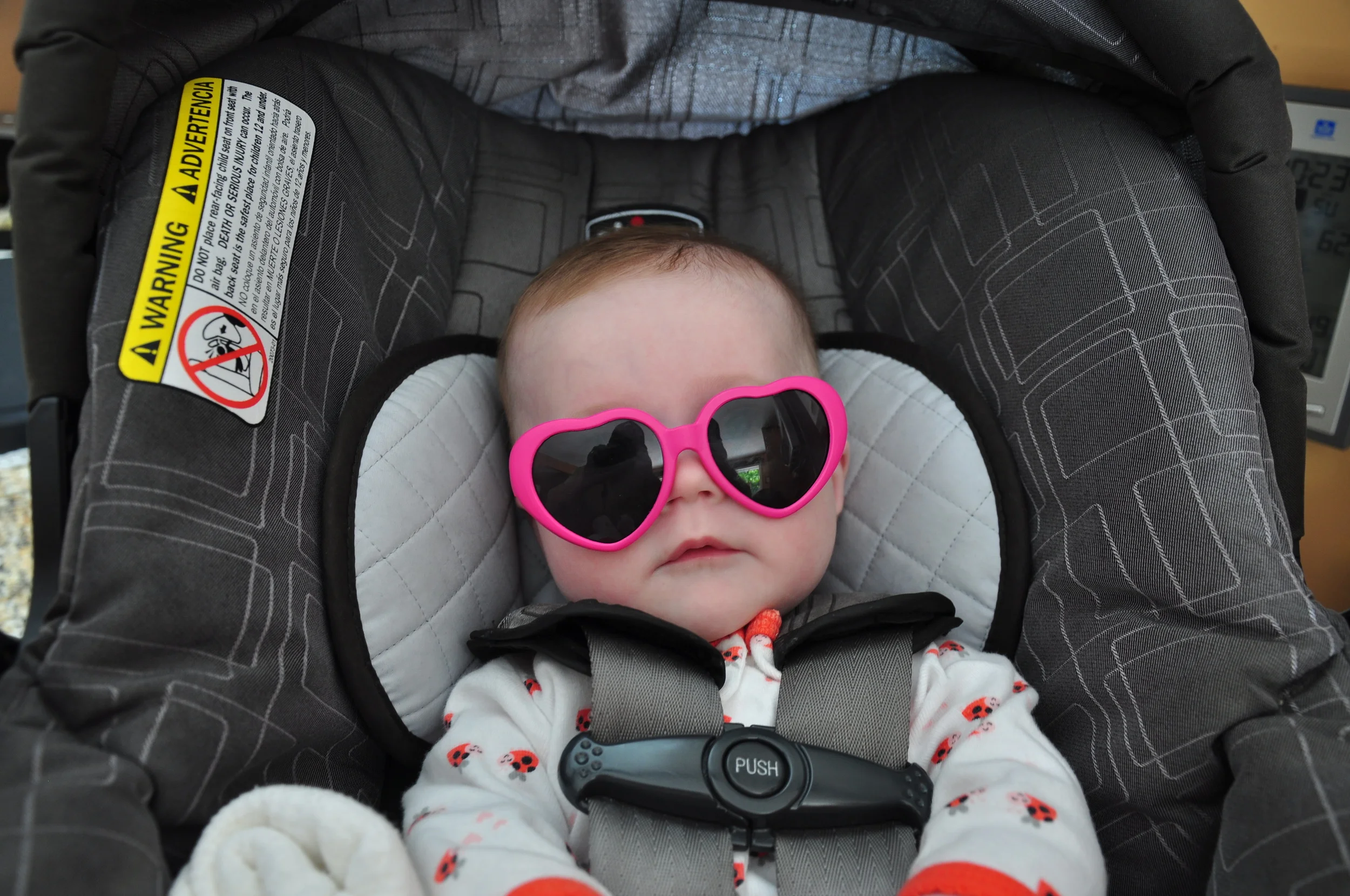 Summer_2013_Family 004.JPG