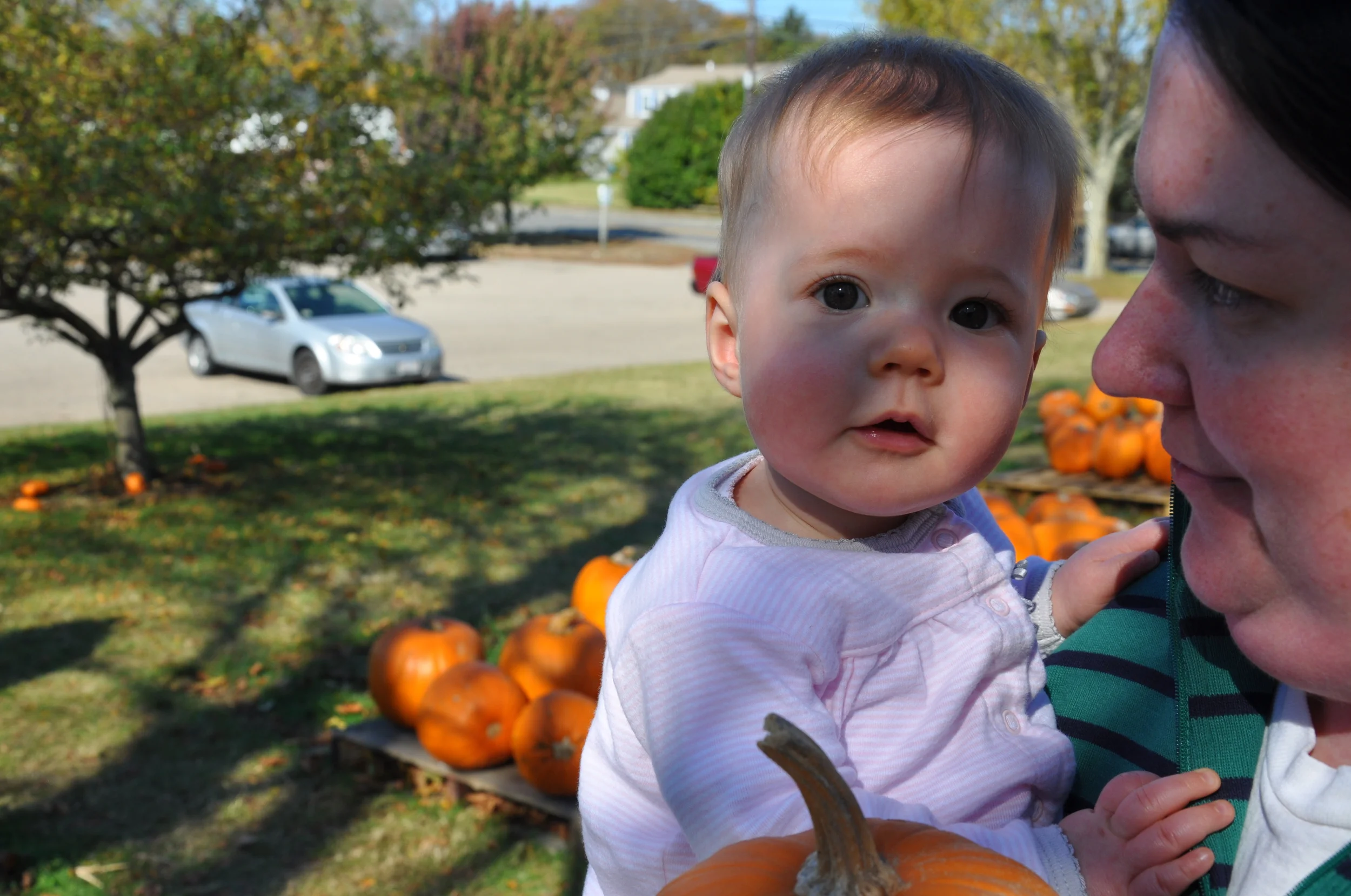 October_2013 067.JPG