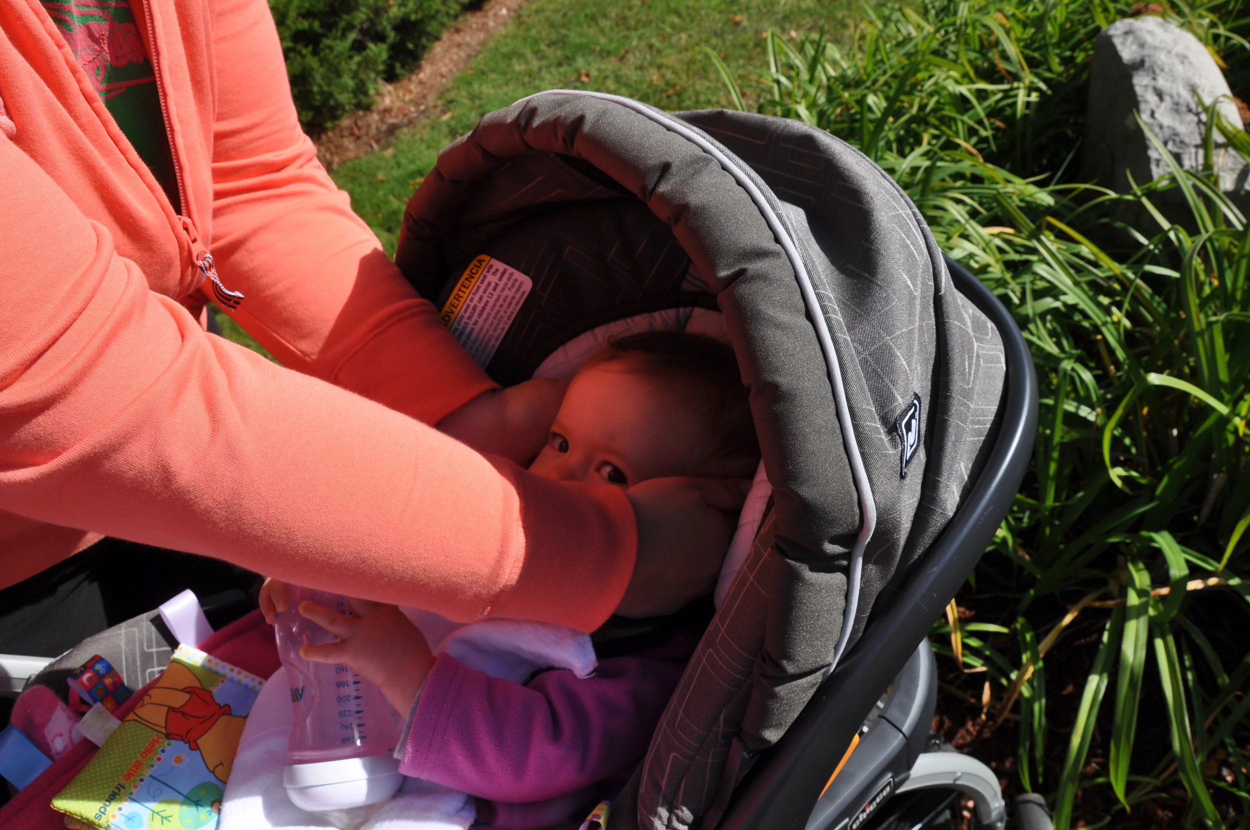 October_2013 033.JPG