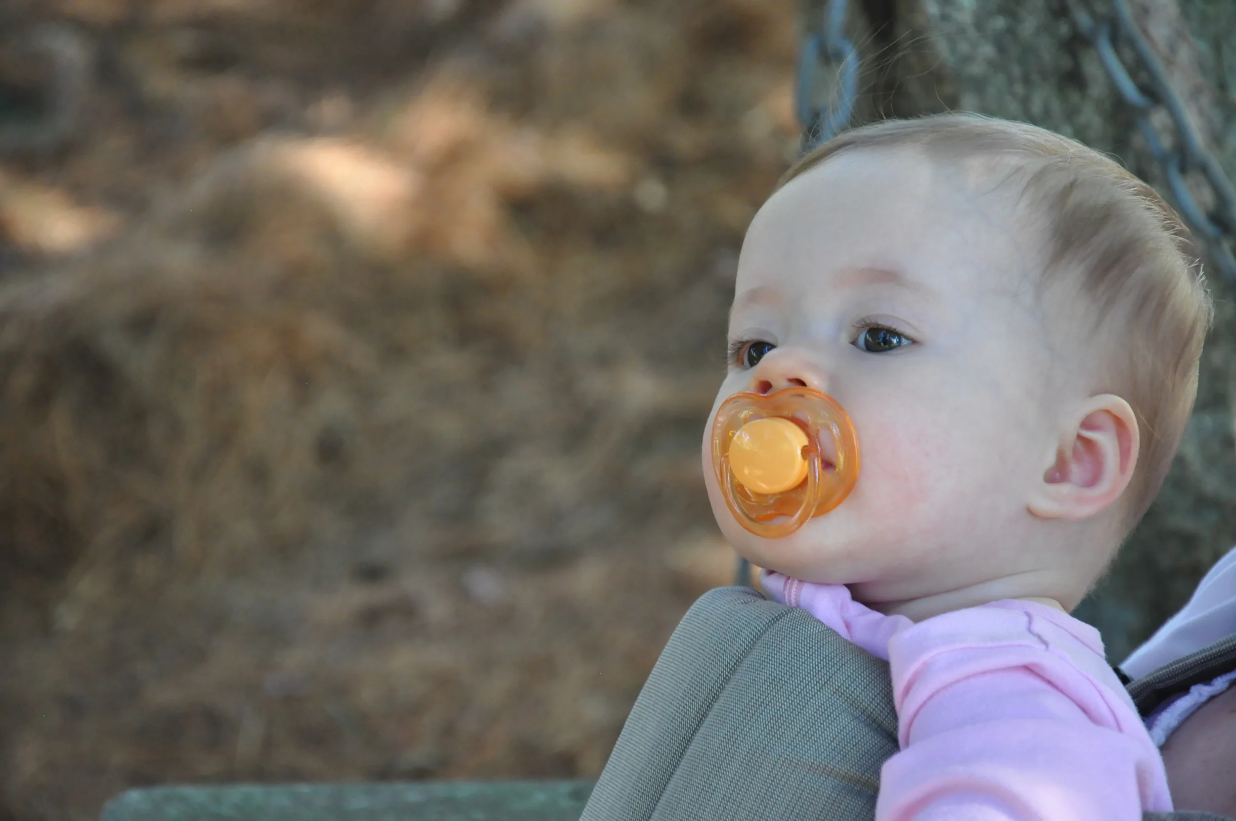 2013_Fall_MarthasVineyard 083.JPG