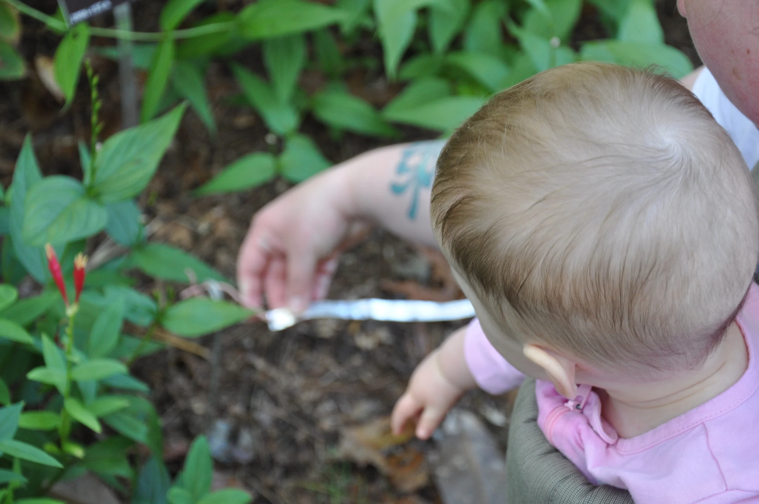 2013_Fall_MarthasVineyard 087.JPG