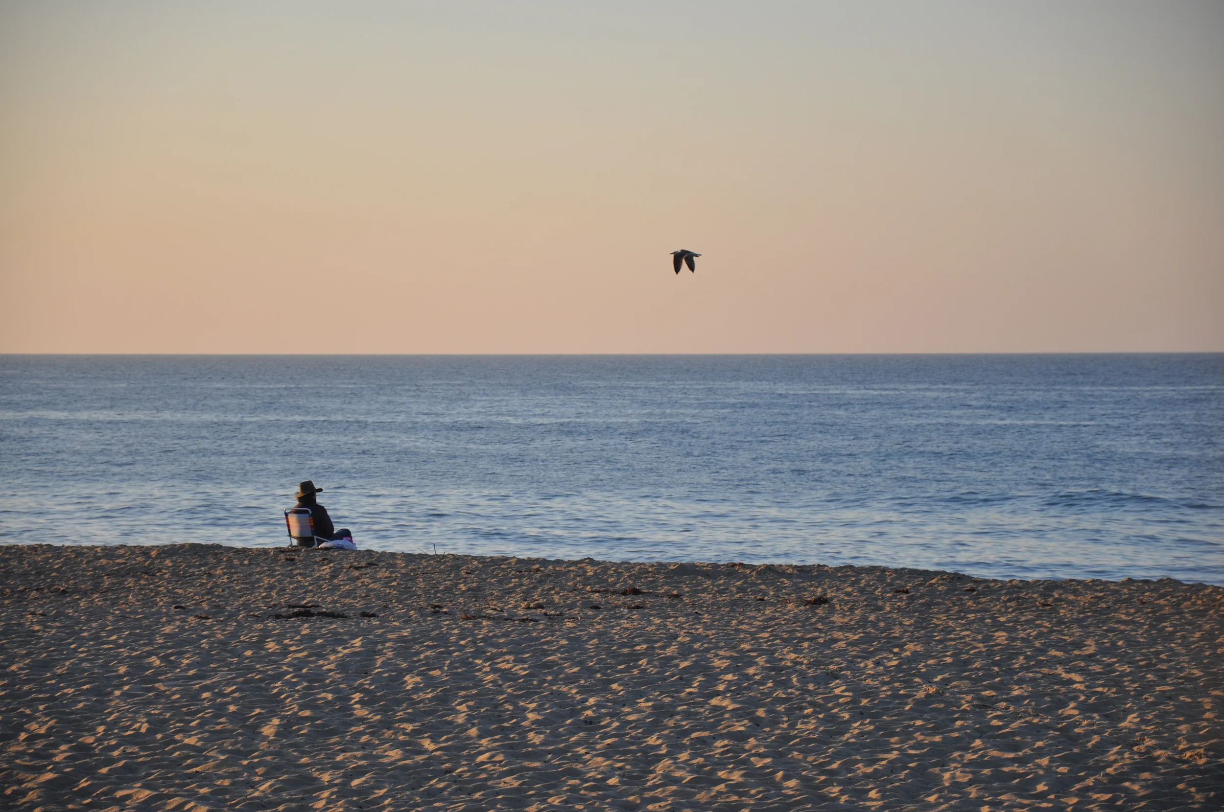 2013_Fall_MarthasVineyard 097.JPG