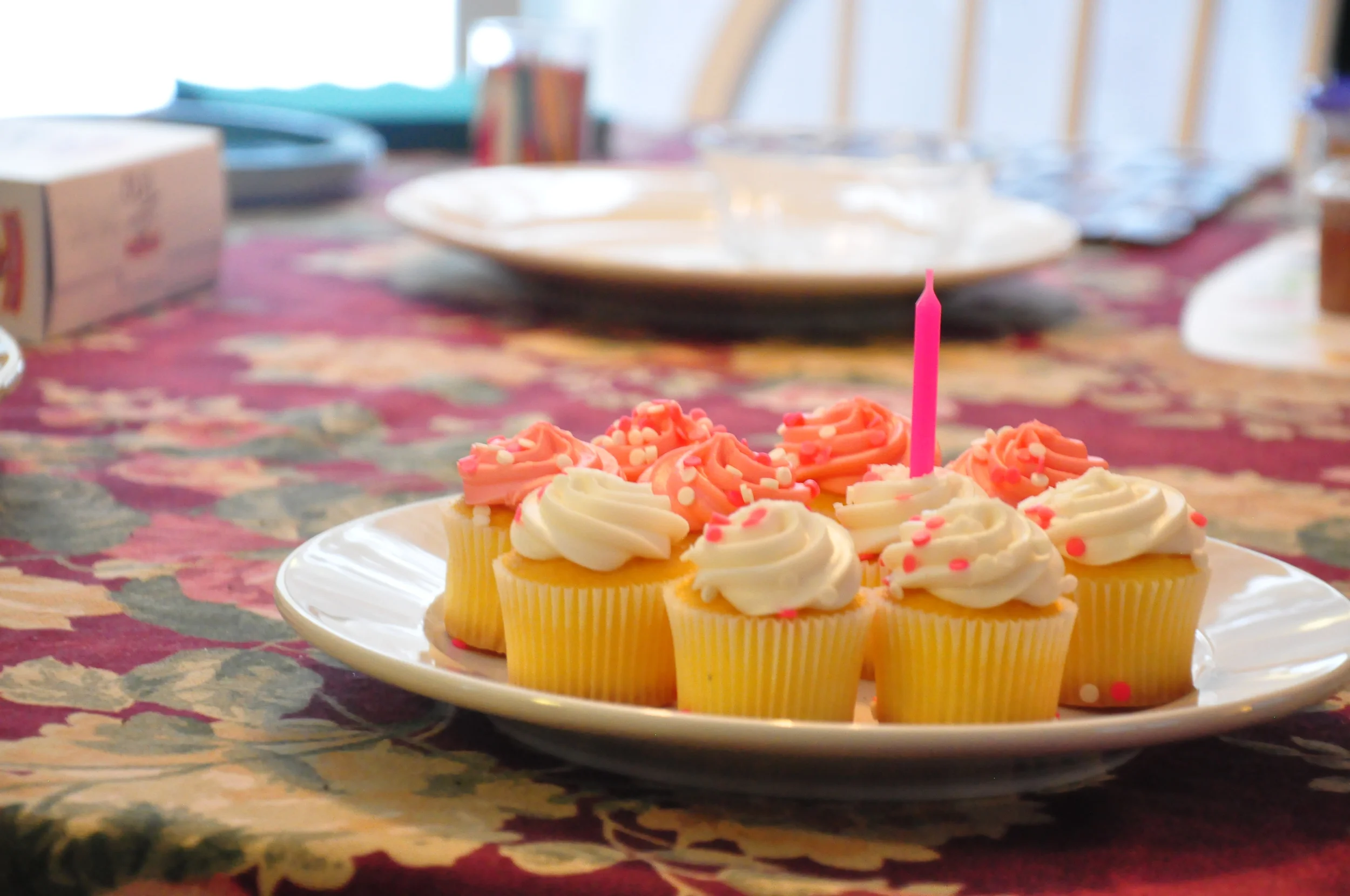 Ellas_First_Birthday 022.JPG