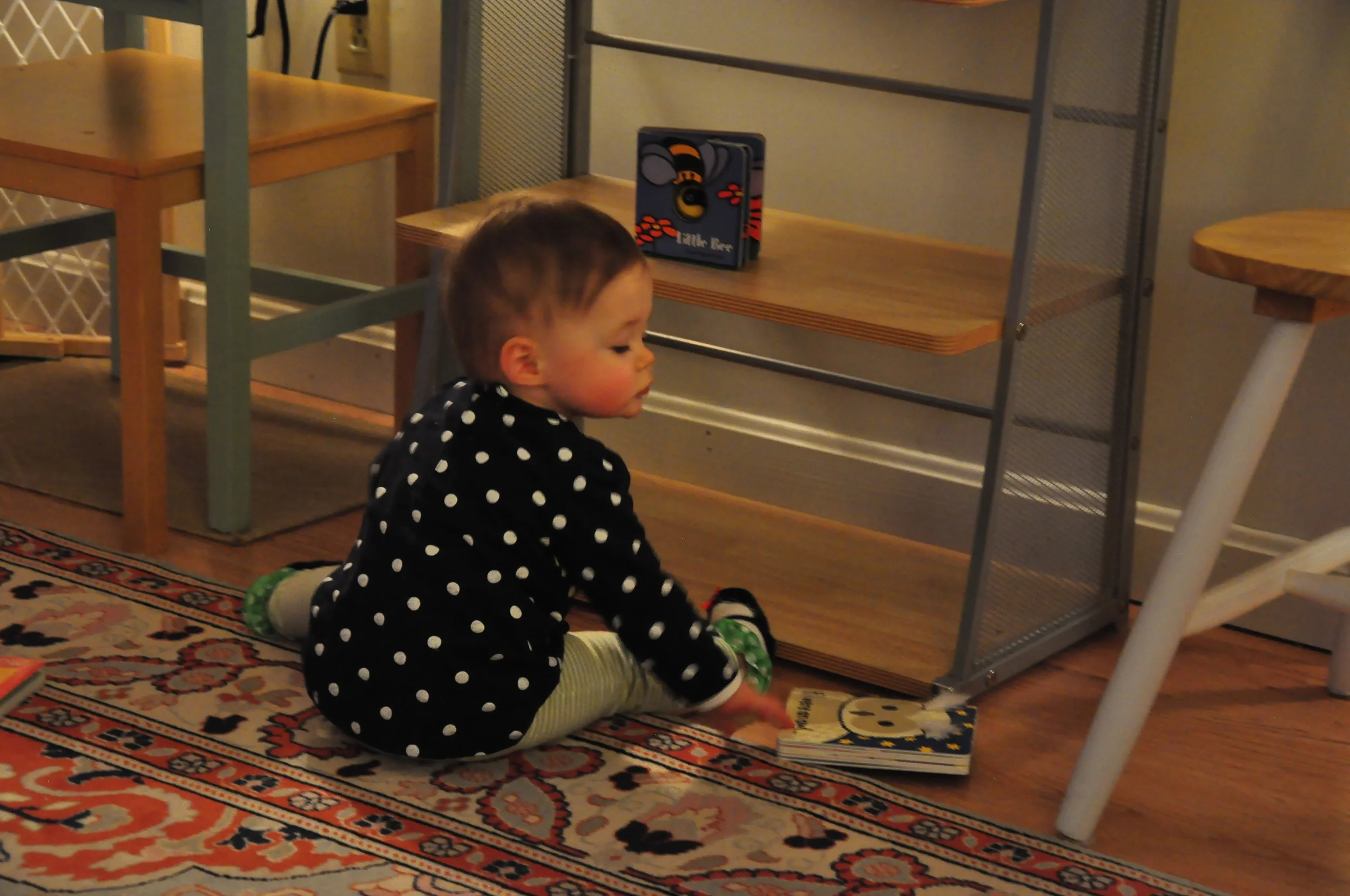 Ellas_First_Birthday 052.JPG