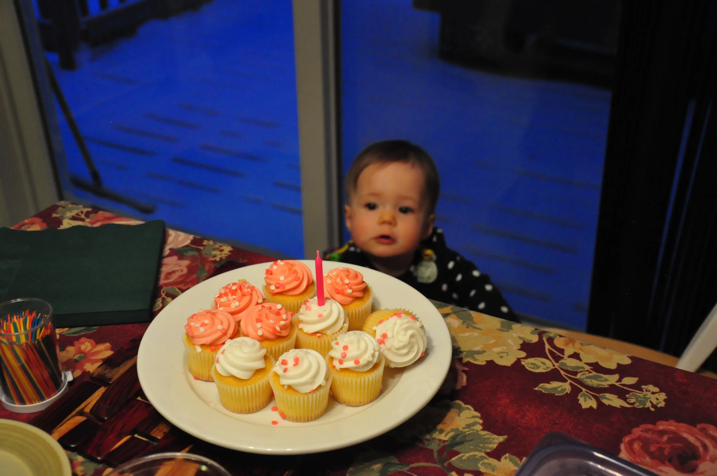 Ellas_First_Birthday 081.JPG