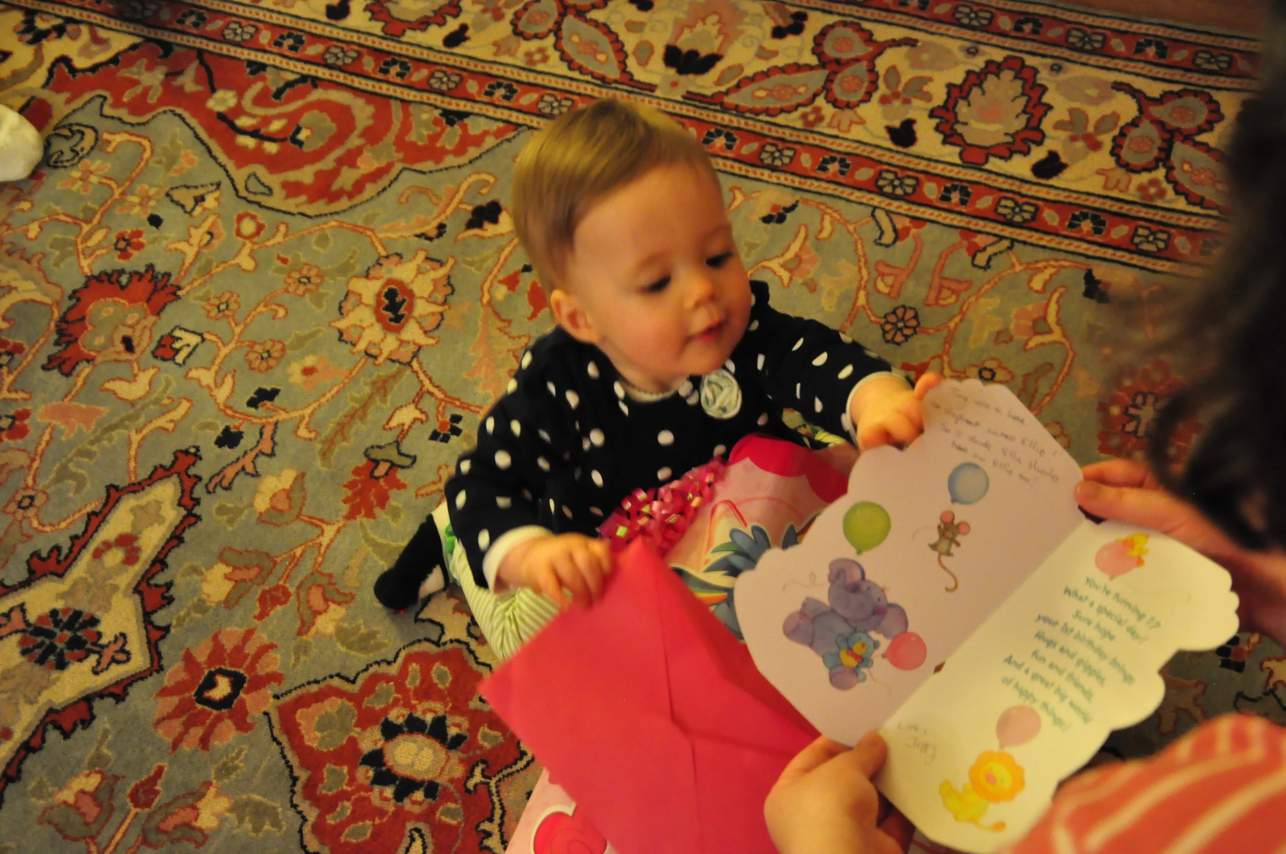 Ellas_First_Birthday 091.JPG