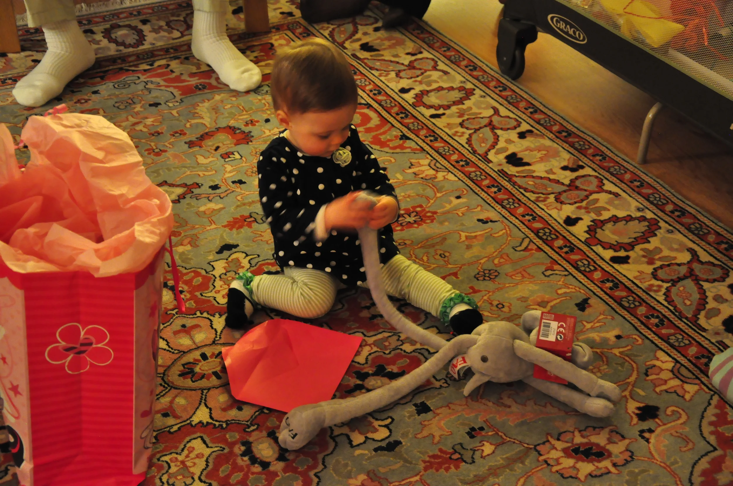 Ellas_First_Birthday 093.JPG